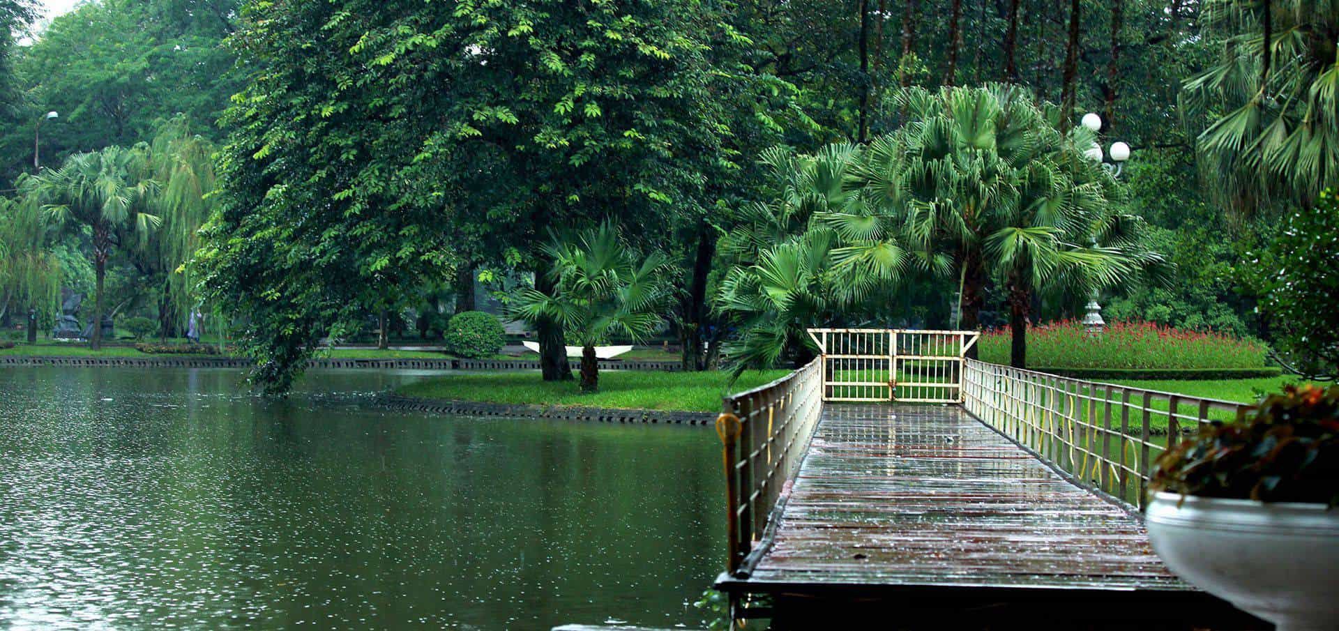 Discover the Wonders of Desert Botanical Garden: A Must-Visit Destination for Nature Enthusiasts