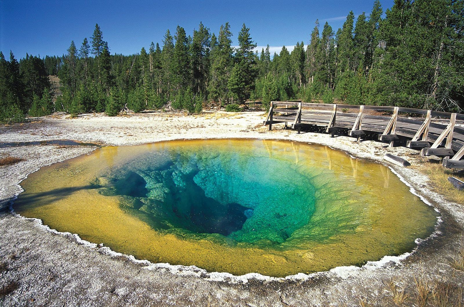 Discover Yellowstone National Park: An Epic Adventure You Can’t Miss
