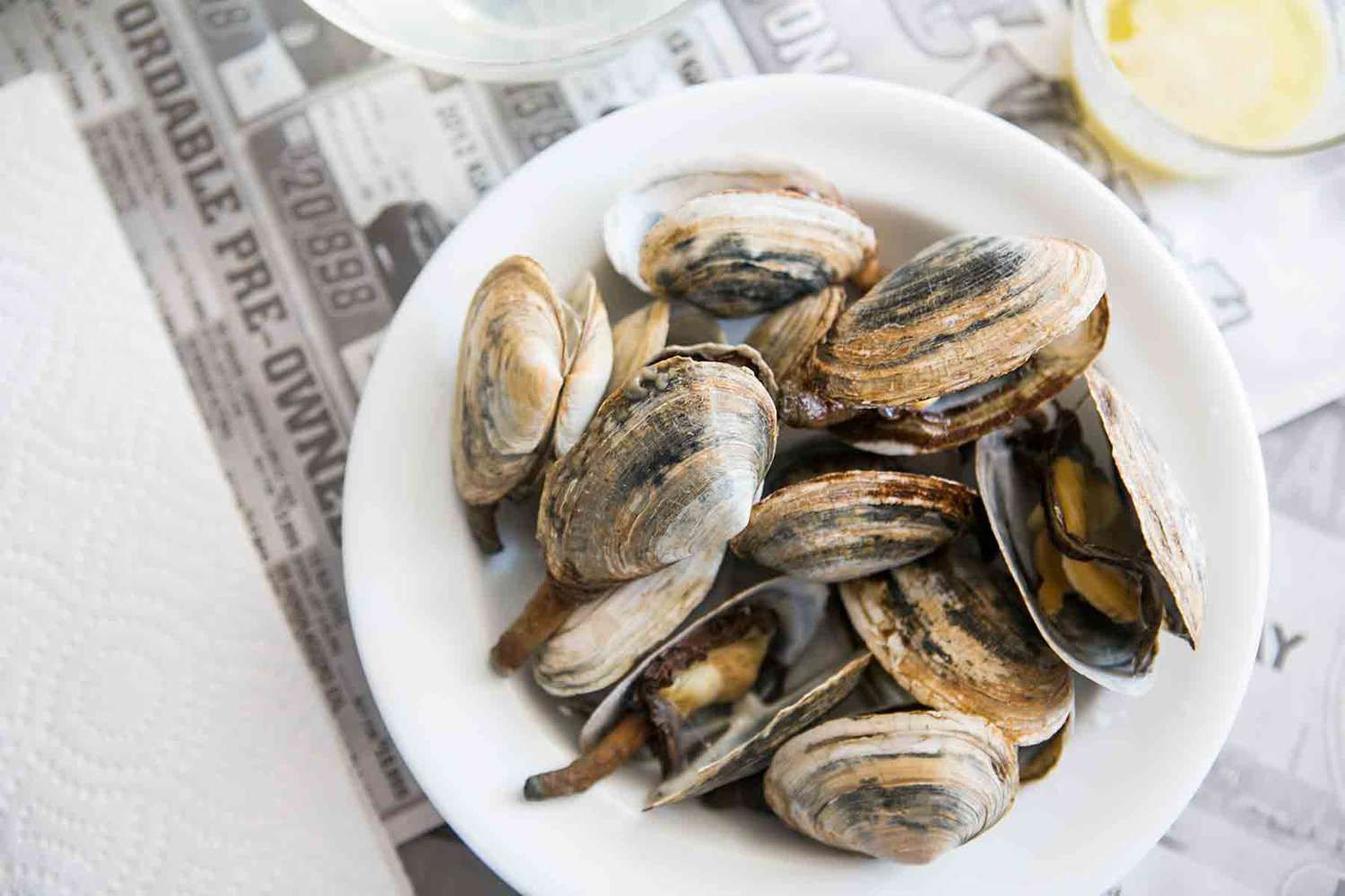 Discovering New England Clams: The Ultimate Culinary Delight with The Monroe Hotels