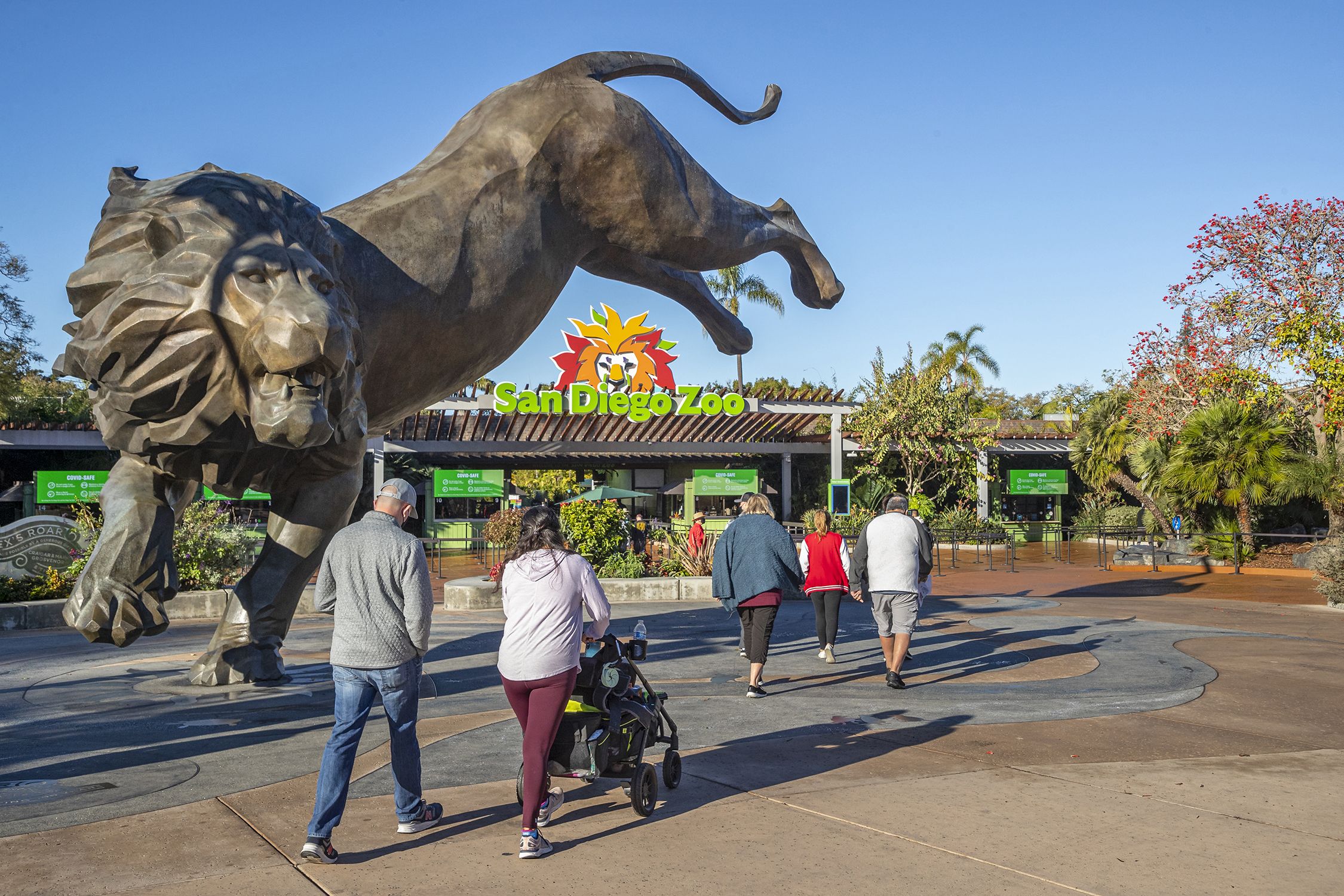 Discover the Wonders of San Diego Zoo: An Ultimate Guide