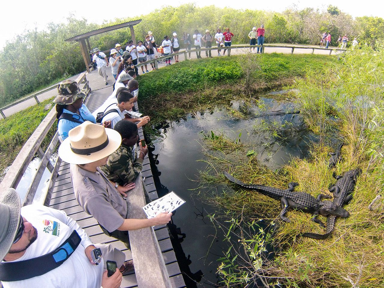 Everglades National Park: The Ultimate Adventure Spot You Can’t Miss