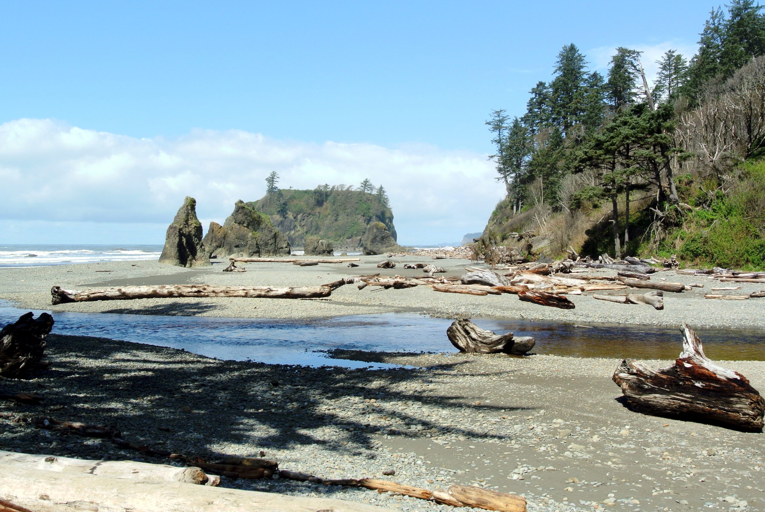 Olympic National Park: The Ultimate Adventure Awaits