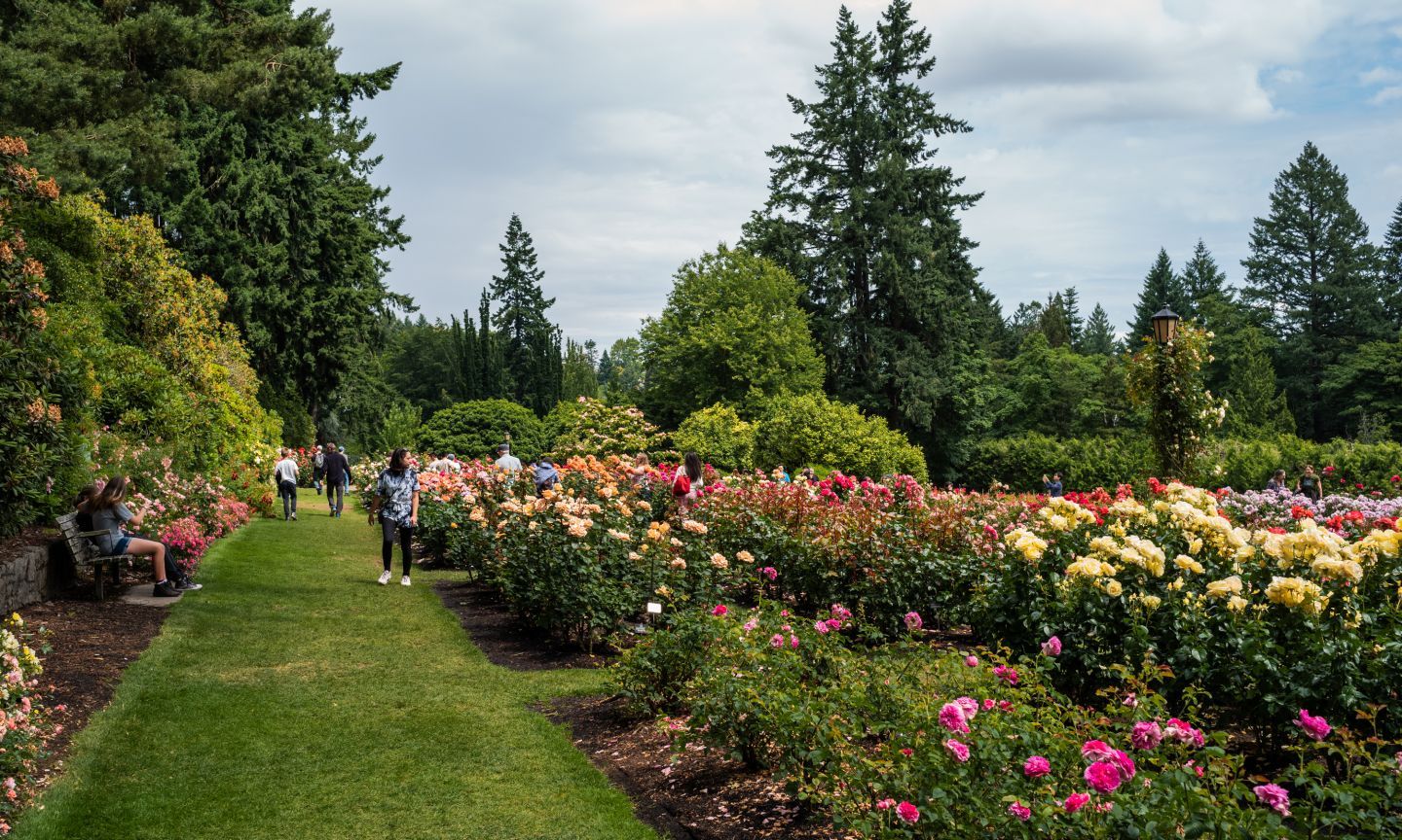 Discover the Charm of Washington Park: A Hidden Gem in Portland, Oregon