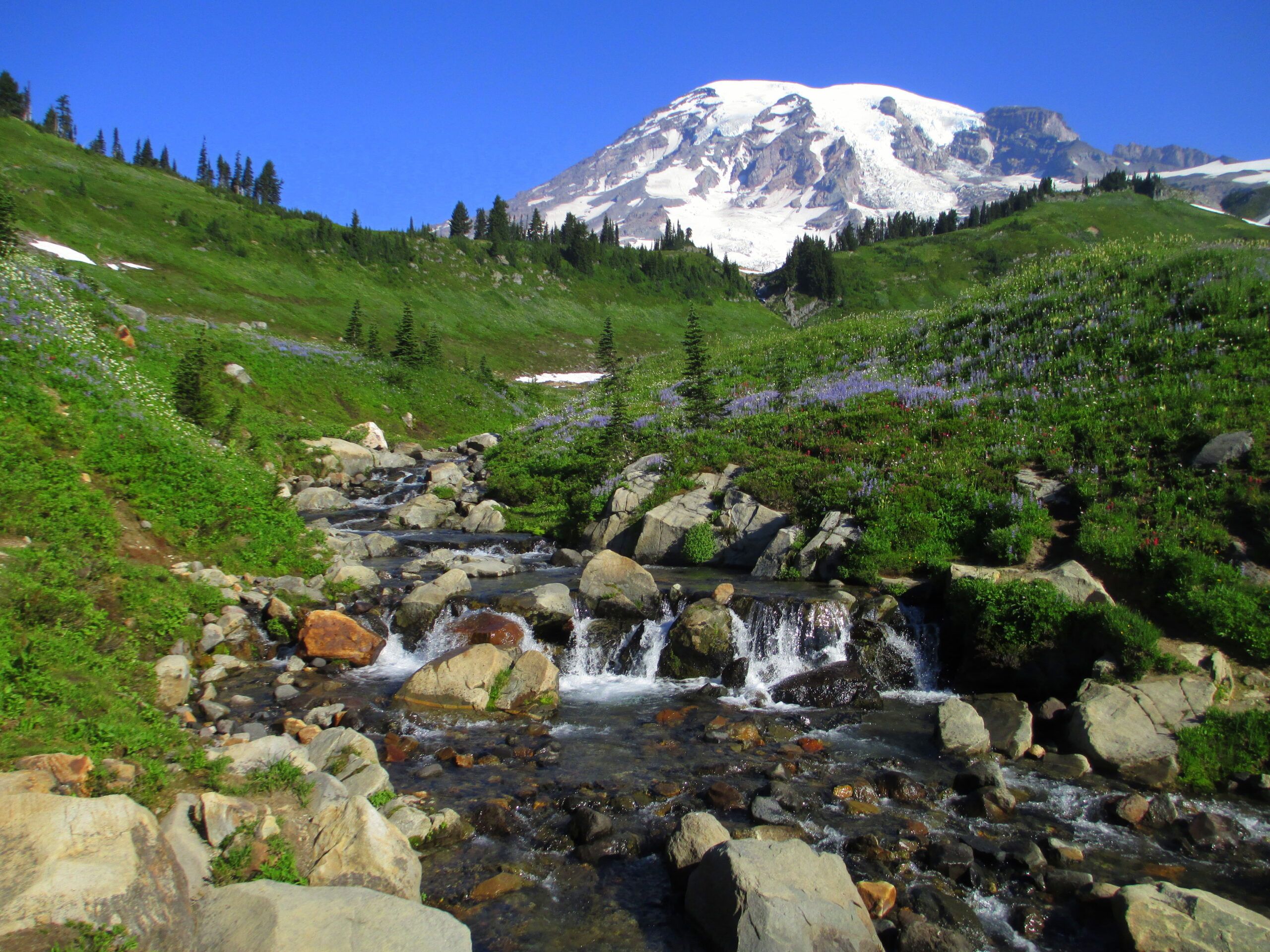 Mount Rainier National Park Adventure Awaits: Ultimate Guide by The Monroe Hotels
