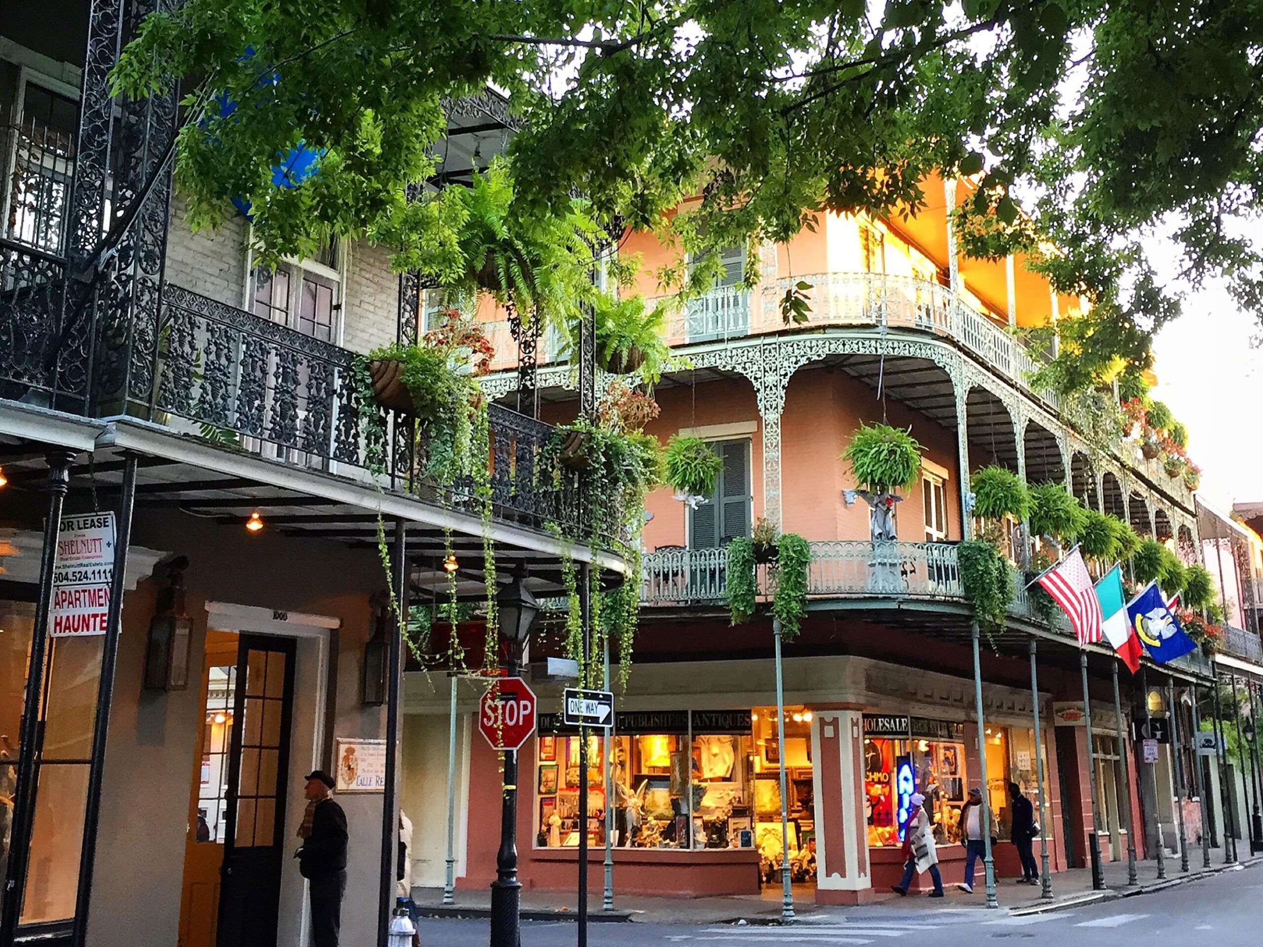 New Orleans Vibes You Can’t Miss: Your Ultimate Insider Guide