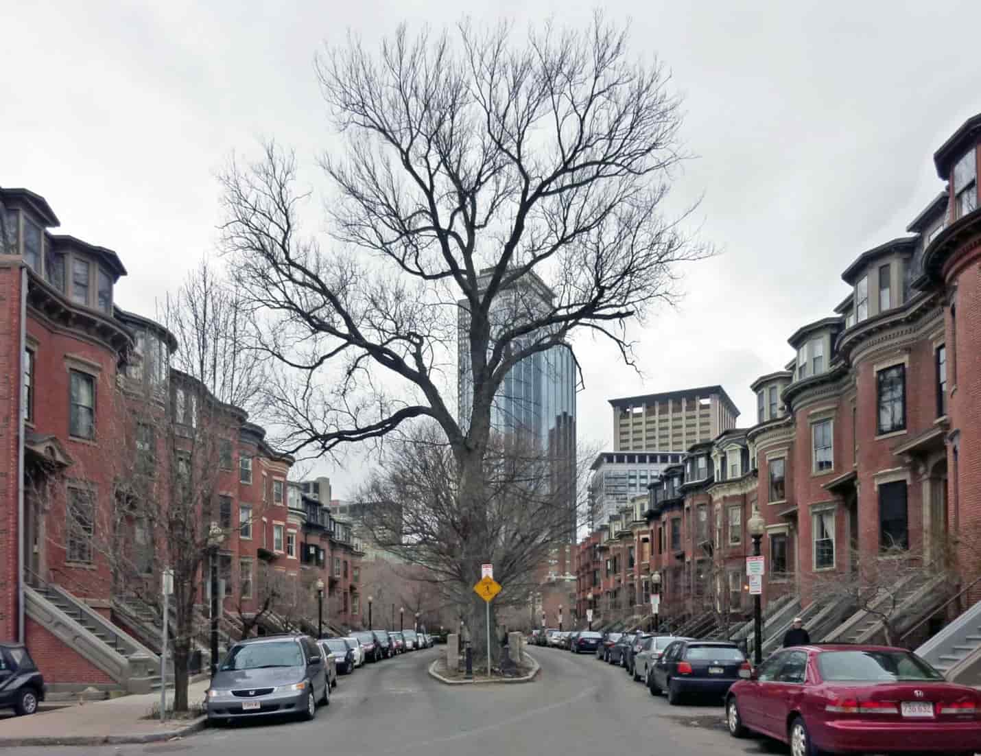 Boston Vibes Uncovered: Your Ultimate City Adventure Guide