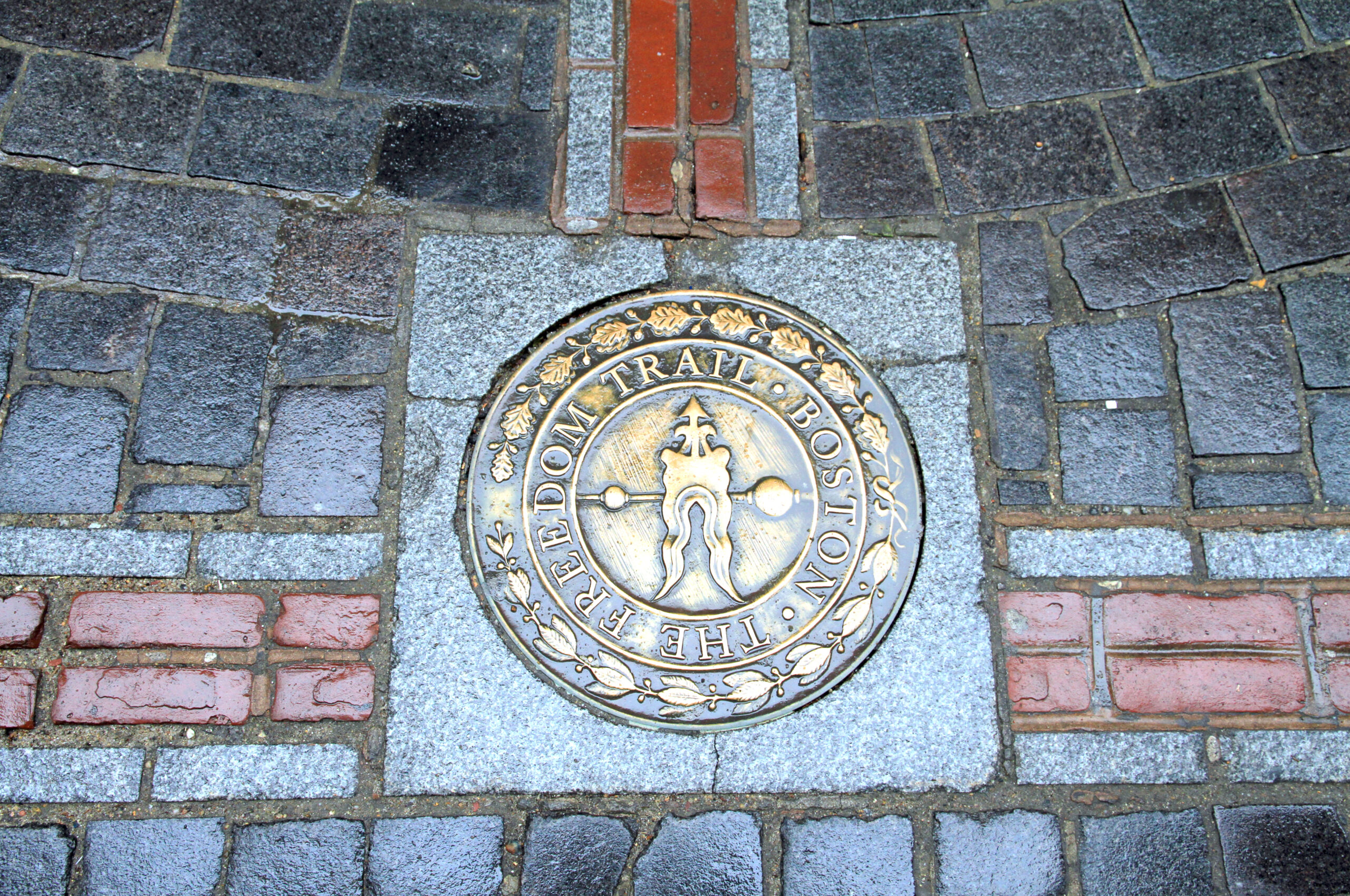 Boston Vibes Uncovered: Your Ultimate City Adventure Guide
