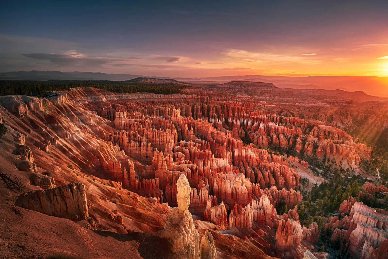 Bryce Canyon Uncovered: A Gen Z Adventure Into Nature’s Crazy Sculptures