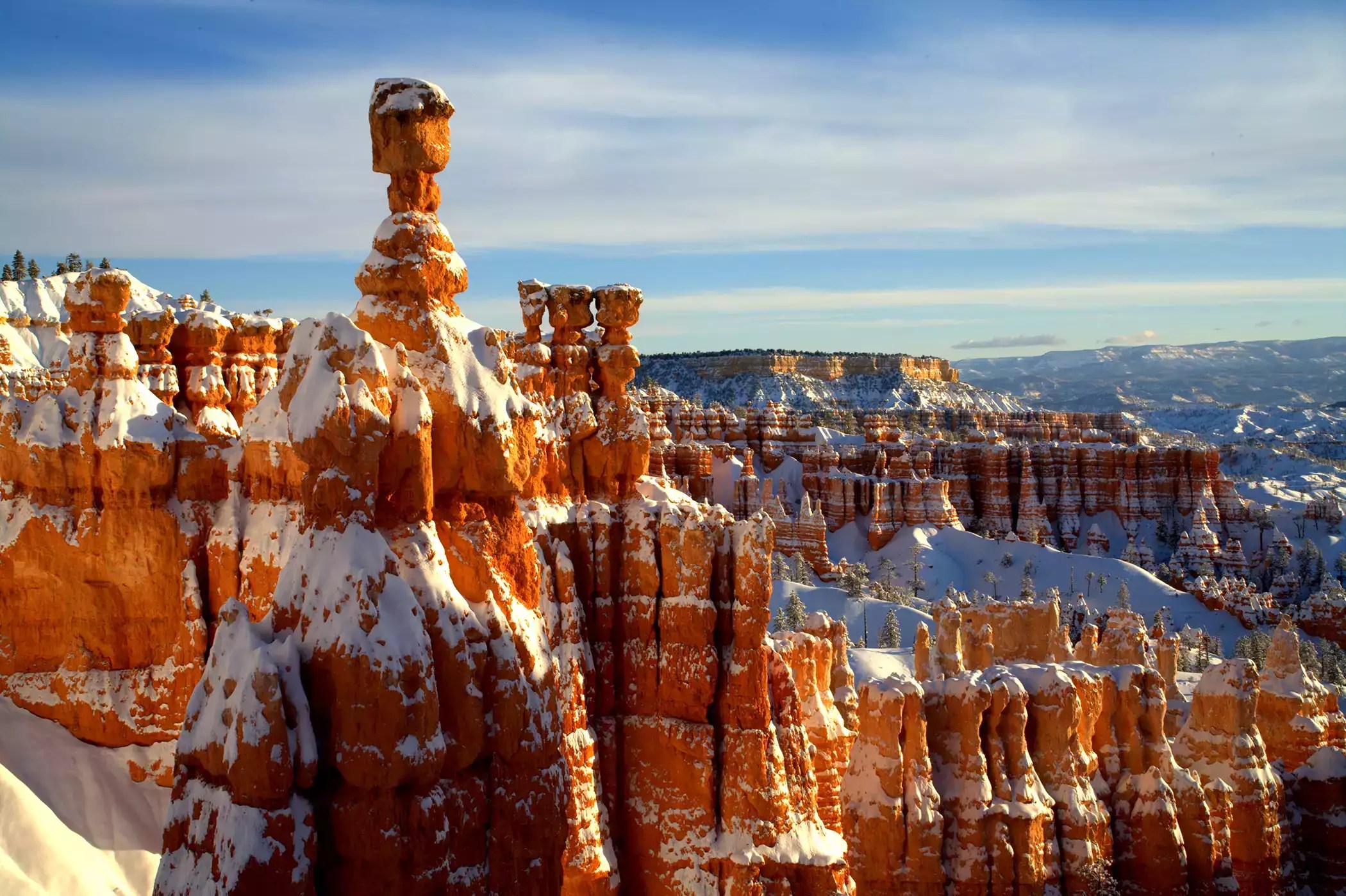 Bryce Canyon Uncovered: A Gen Z Adventure Into Nature’s Crazy Sculptures