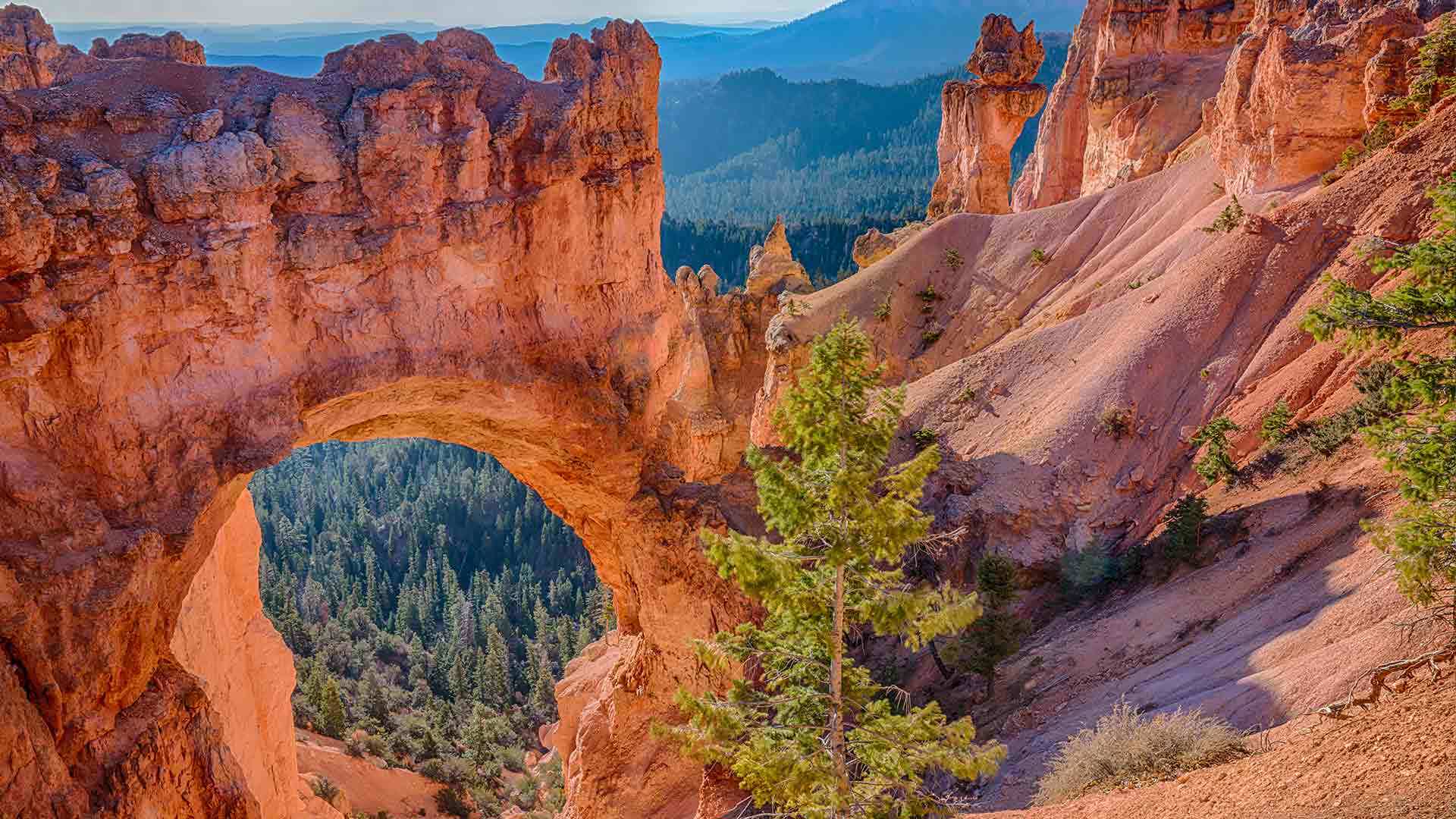Bryce Canyon Uncovered: A Gen Z Adventure Into Nature’s Crazy Sculptures