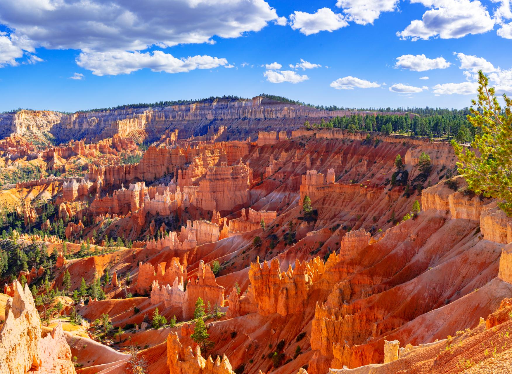 Bryce Canyon Uncovered: A Gen Z Adventure Into Nature’s Crazy Sculptures