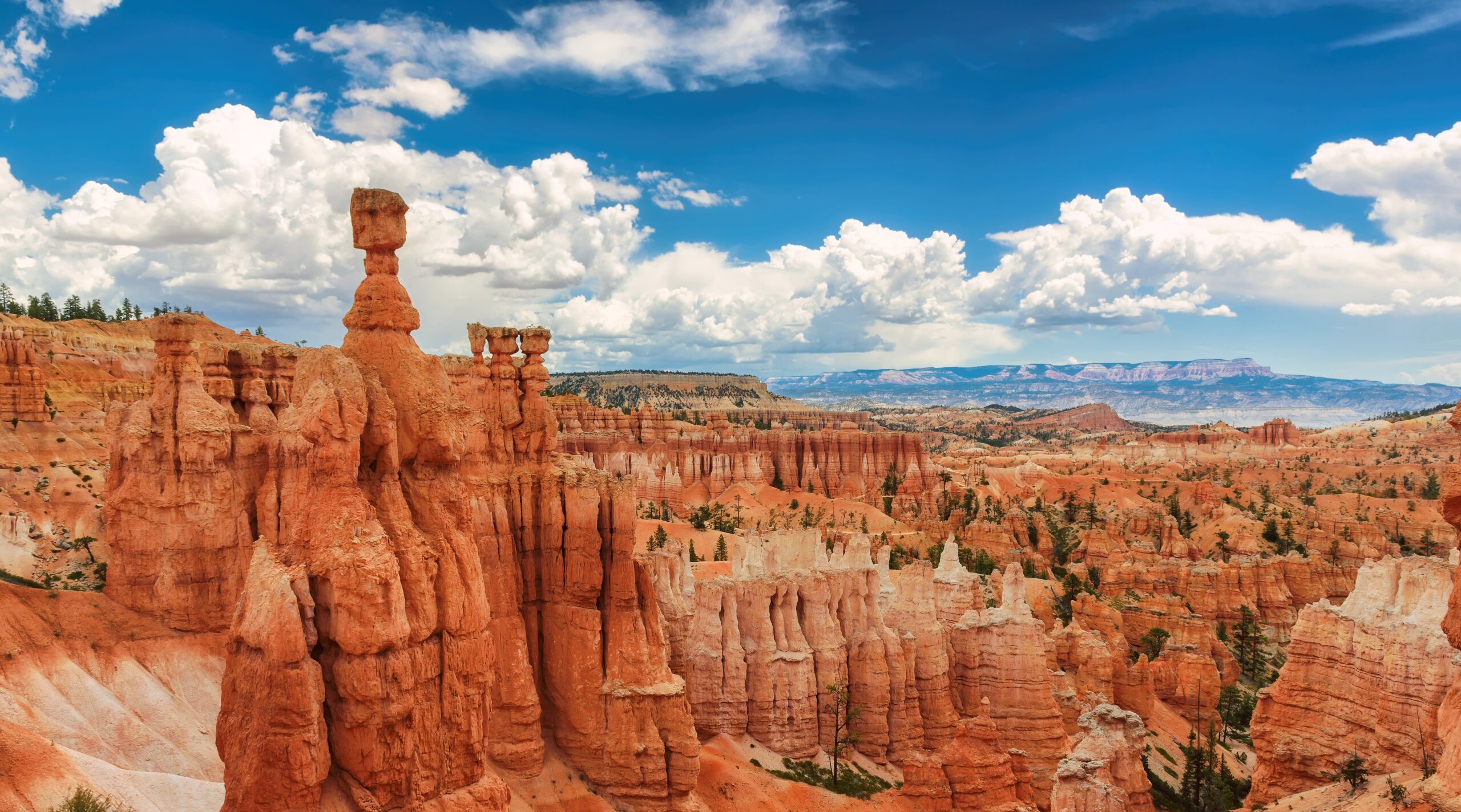 Bryce Canyon Uncovered: A Gen Z Adventure Into Nature’s Crazy Sculptures