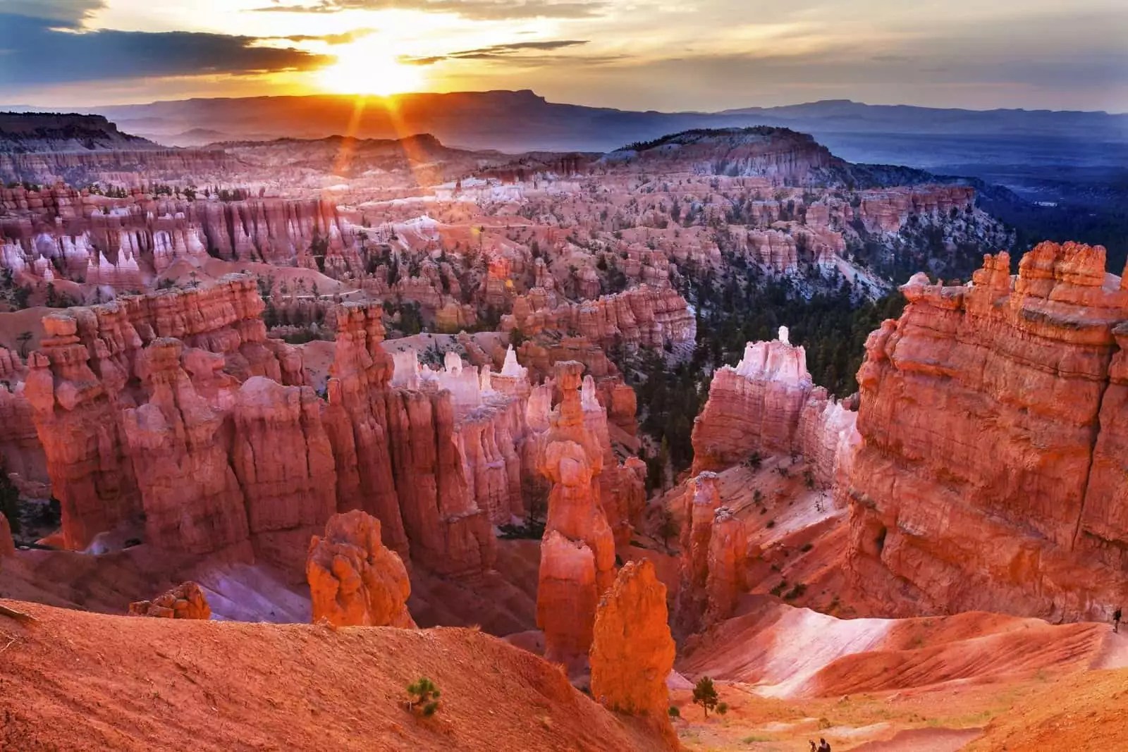 Bryce Canyon Uncovered: A Gen Z Adventure Into Nature’s Crazy Sculptures