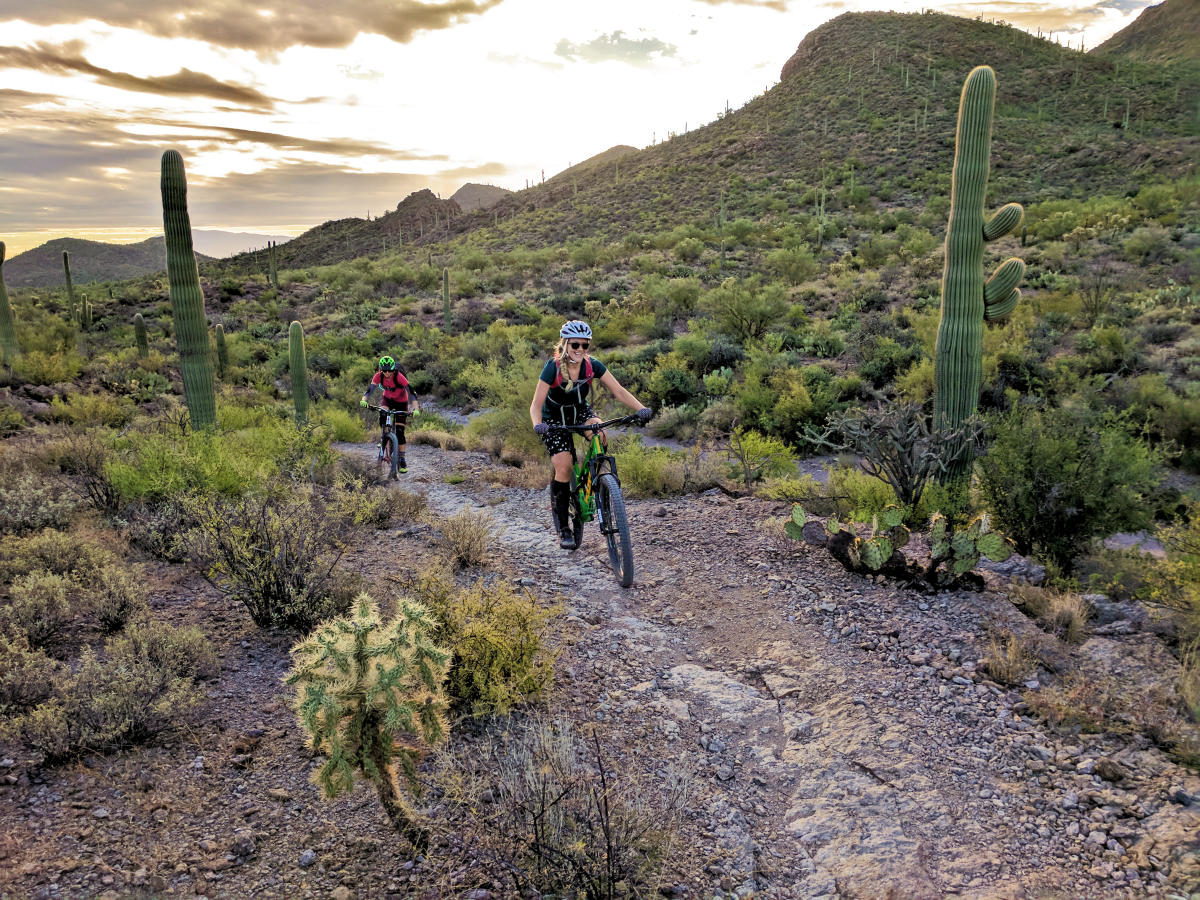 Comfort Inn Tucson Central: Your Ultimate Stay in Tucson, Arizona