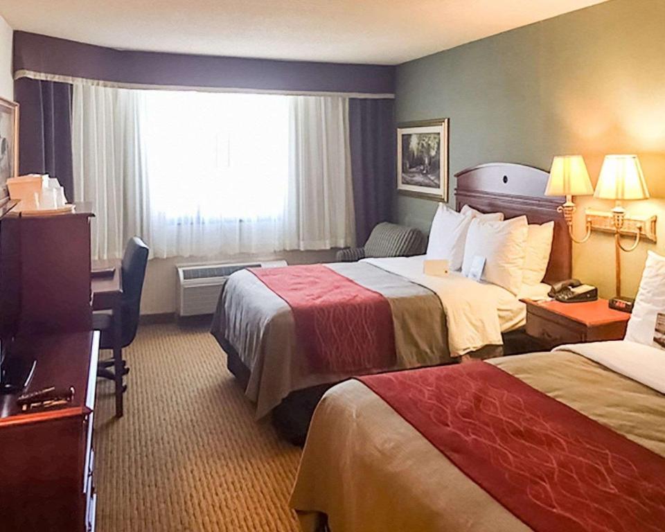 Discover Comfort Inn: Your Ultimate Stay at the Perfect Getaway
