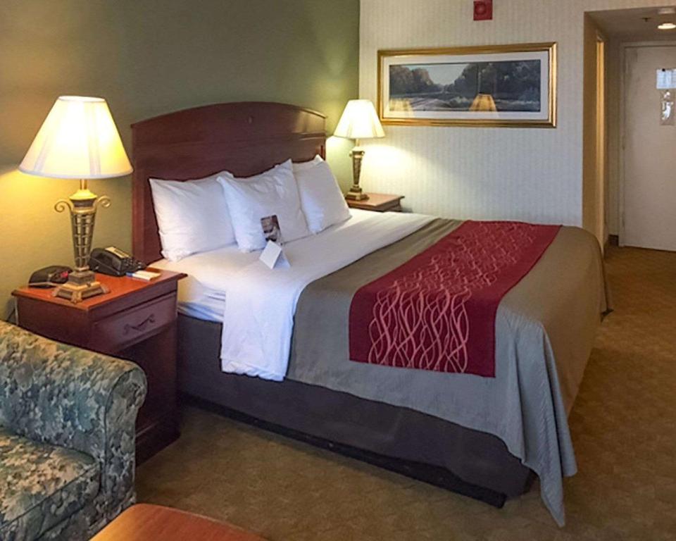 Discover Comfort Inn: Your Ultimate Stay at the Perfect Getaway