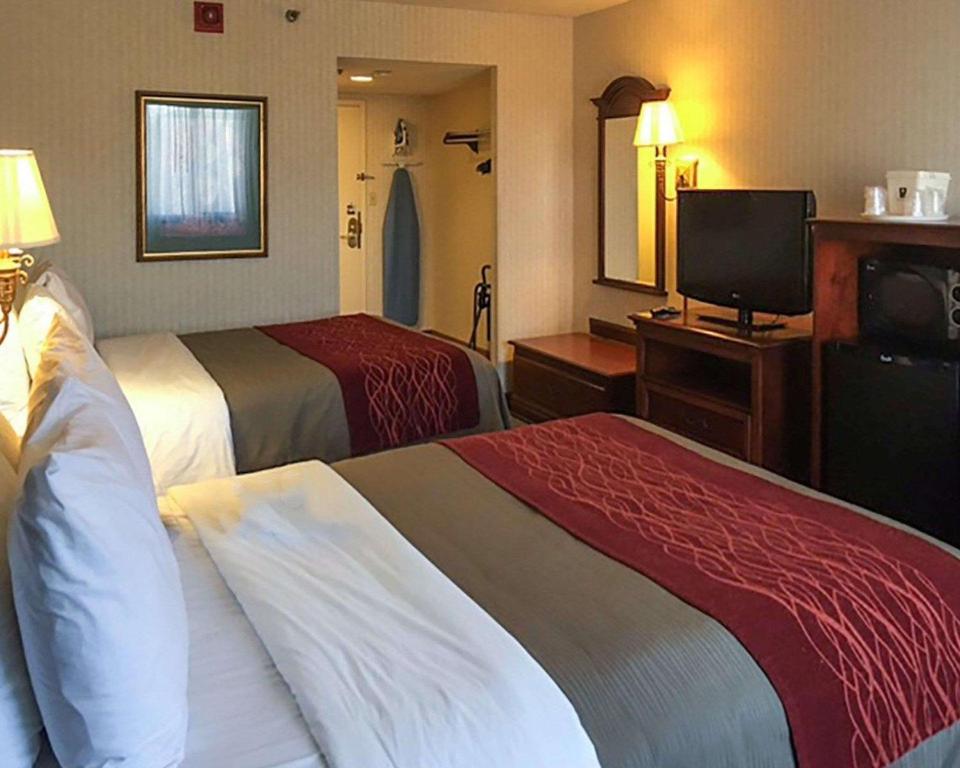Discover Comfort Inn: Your Ultimate Stay at the Perfect Getaway