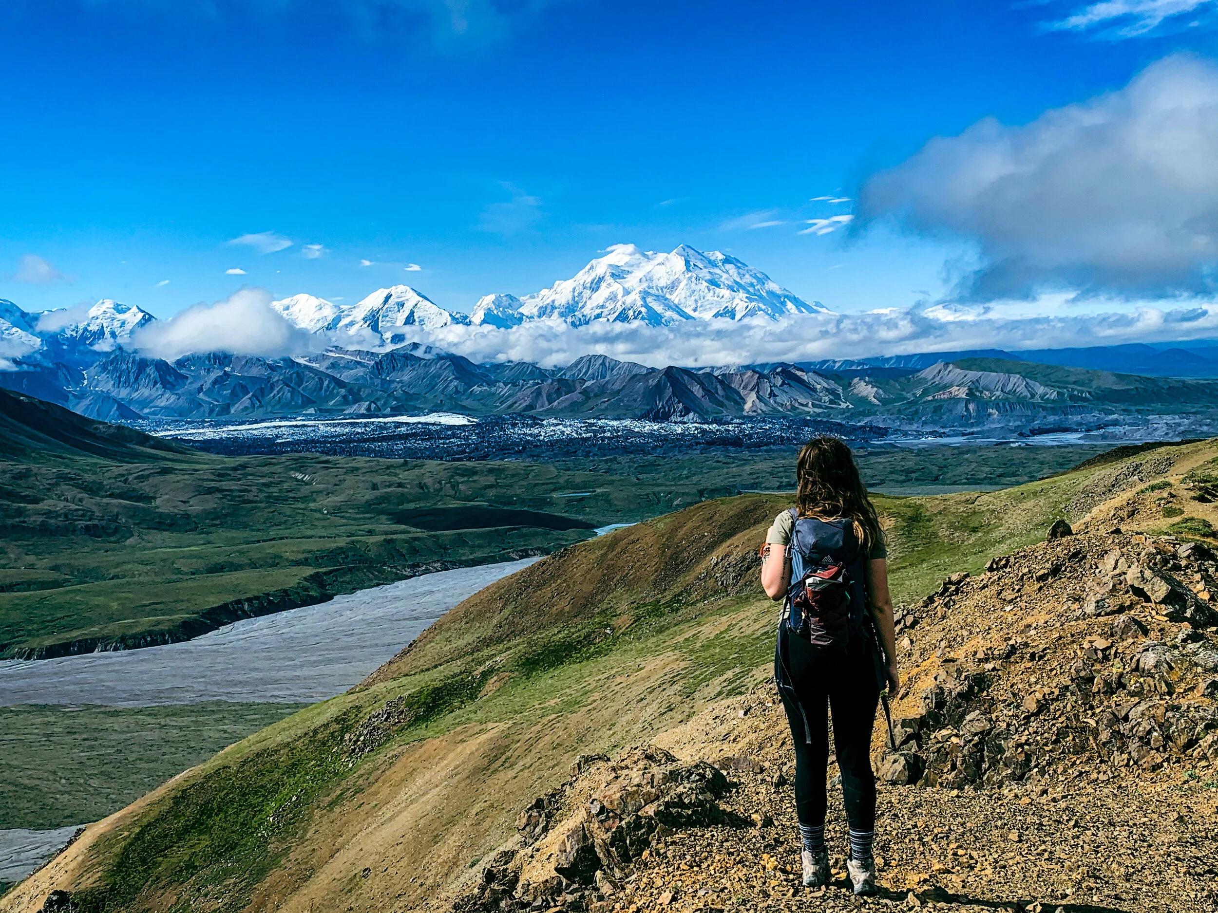 Discover Denali National Park: Your Ultimate Adventure Awaits