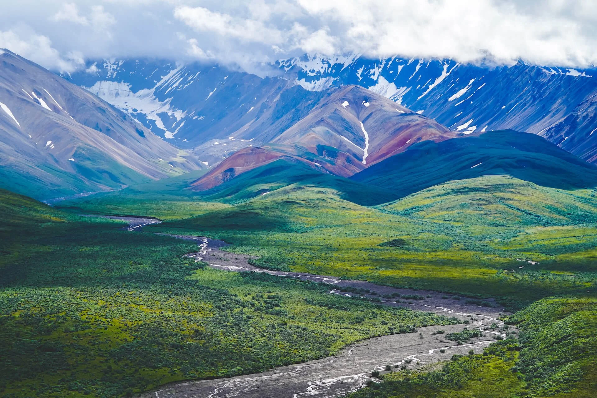 Discover Denali National Park: Your Ultimate Adventure Awaits