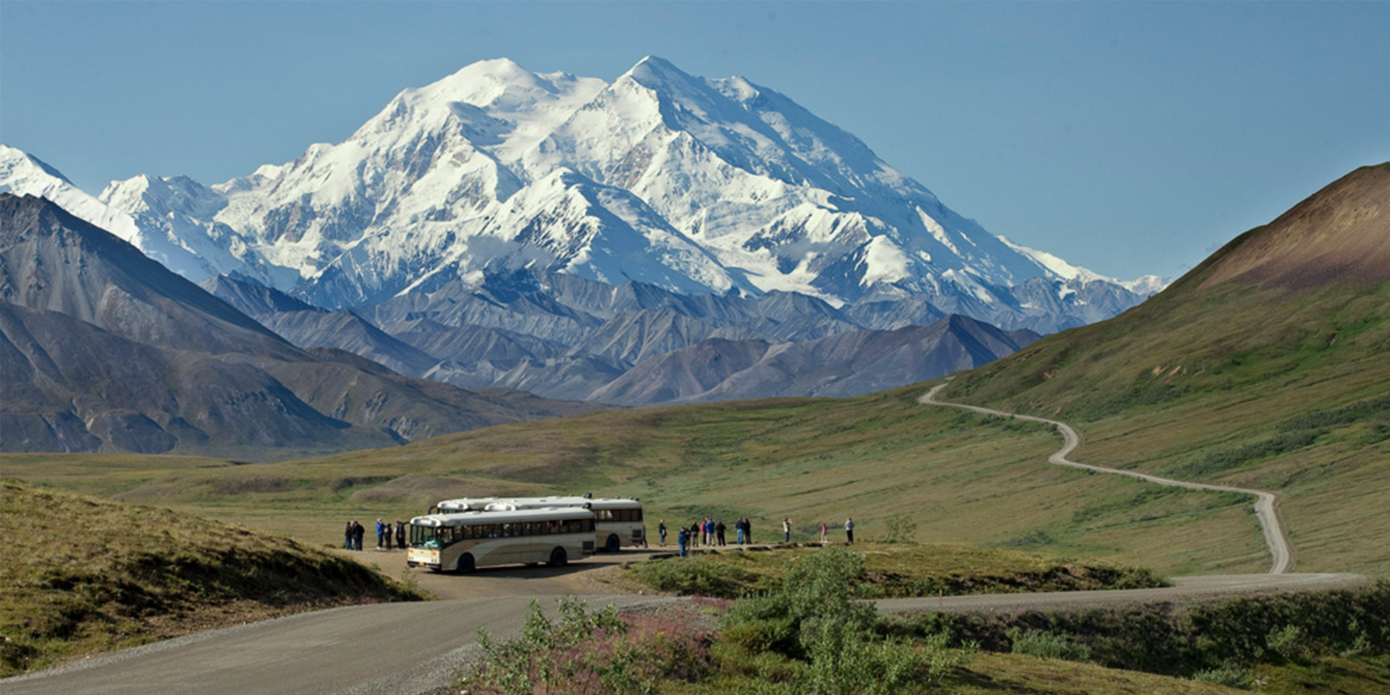 Discover Denali National Park: Your Ultimate Adventure Awaits