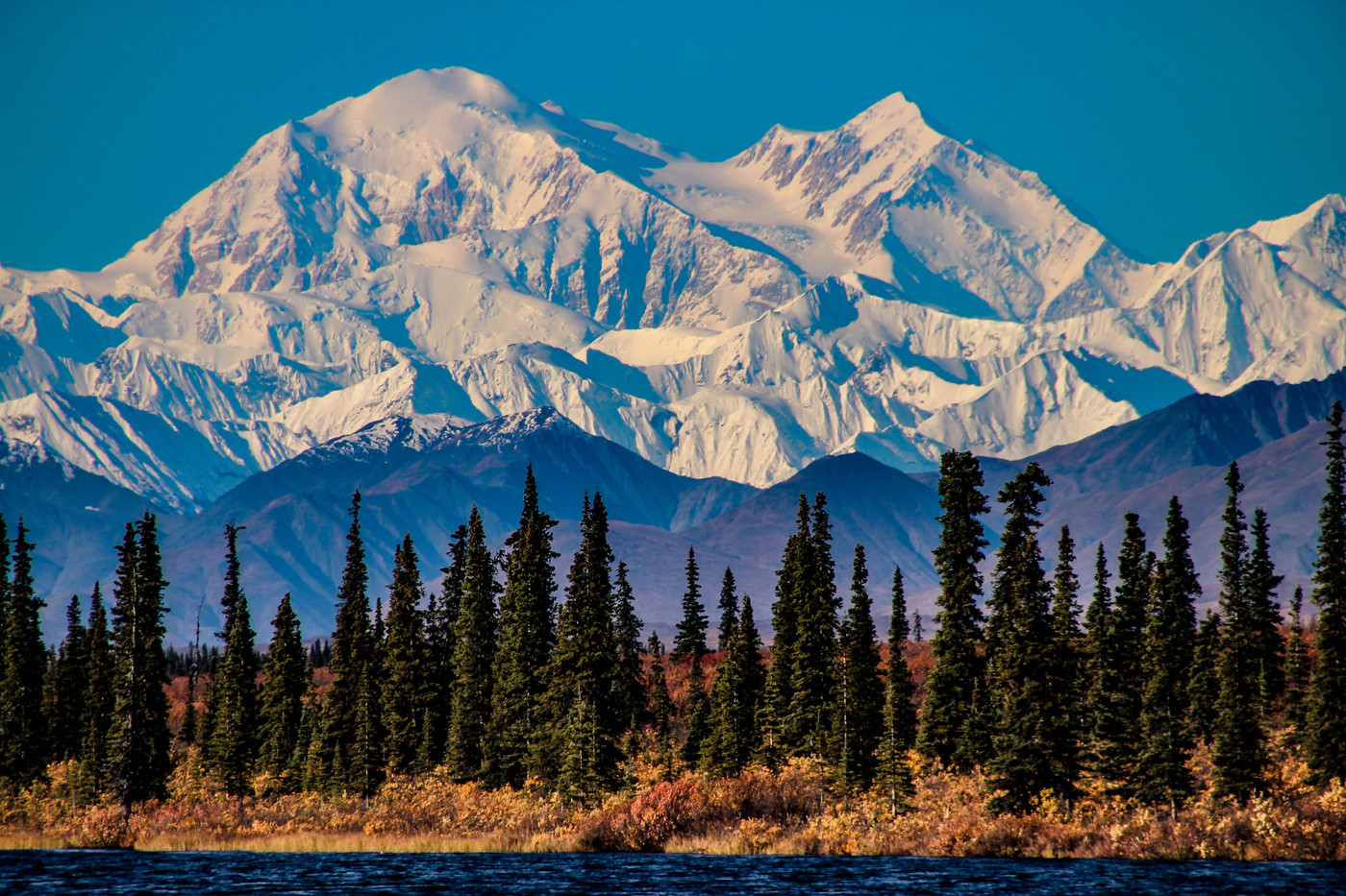 Discover Denali National Park: Your Ultimate Adventure Awaits