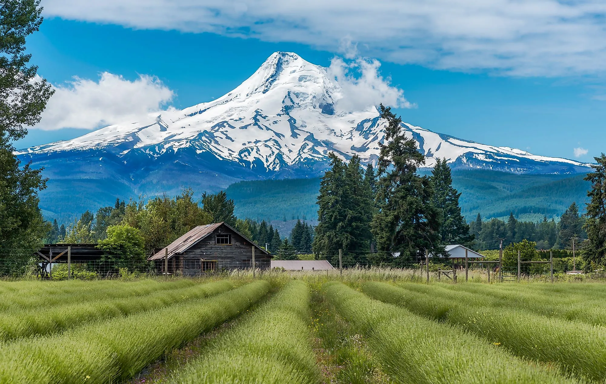 Discover Mount Hood: The Ultimate Guide to Adventure and Relaxation