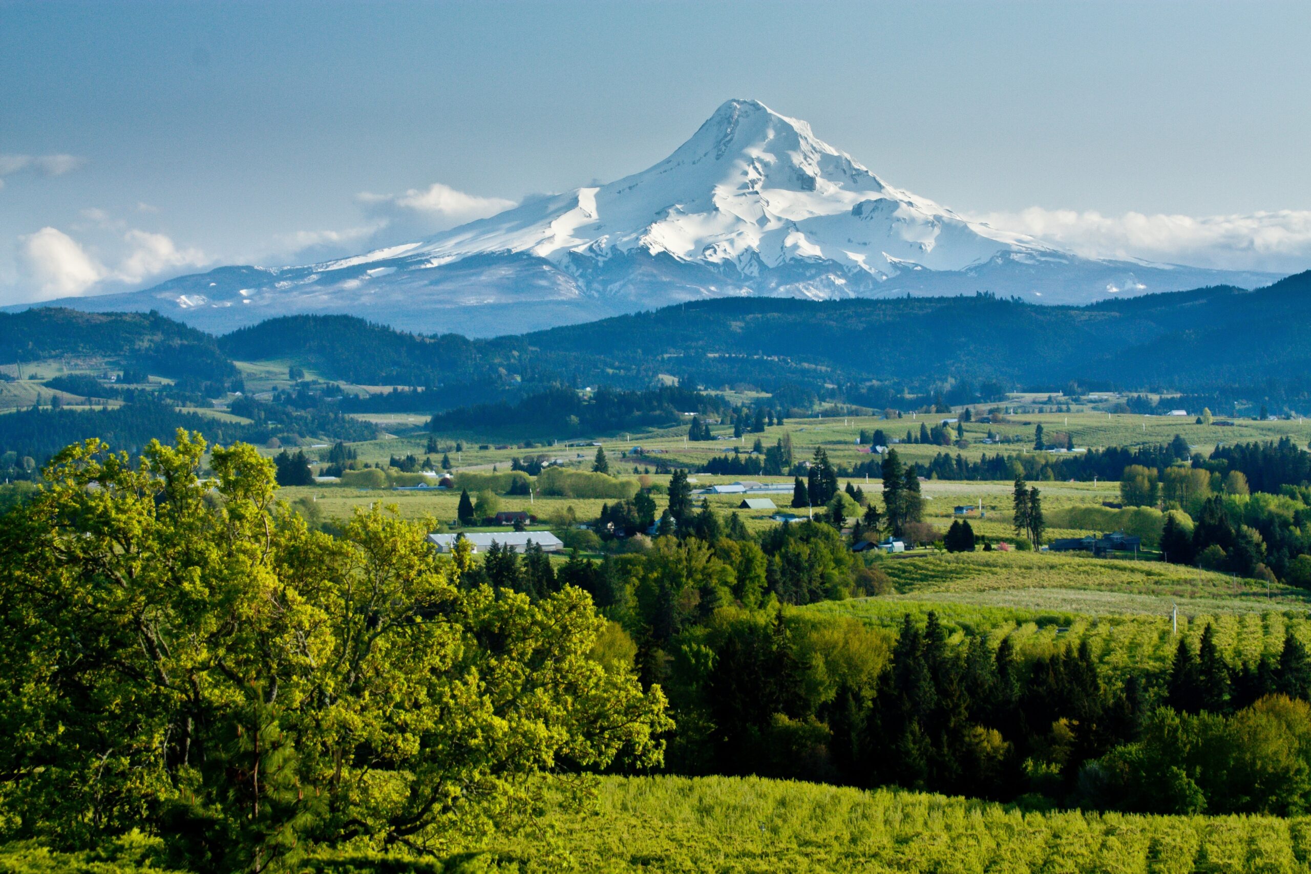 Discover Mount Hood: The Ultimate Guide to Adventure and Relaxation