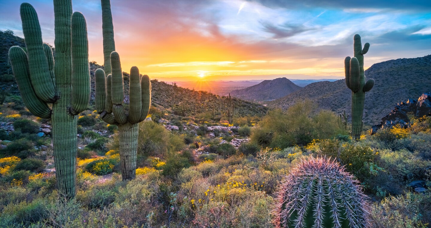 Discover Phoenix: The Ultimate Travel Guide with The Monroe Hotels