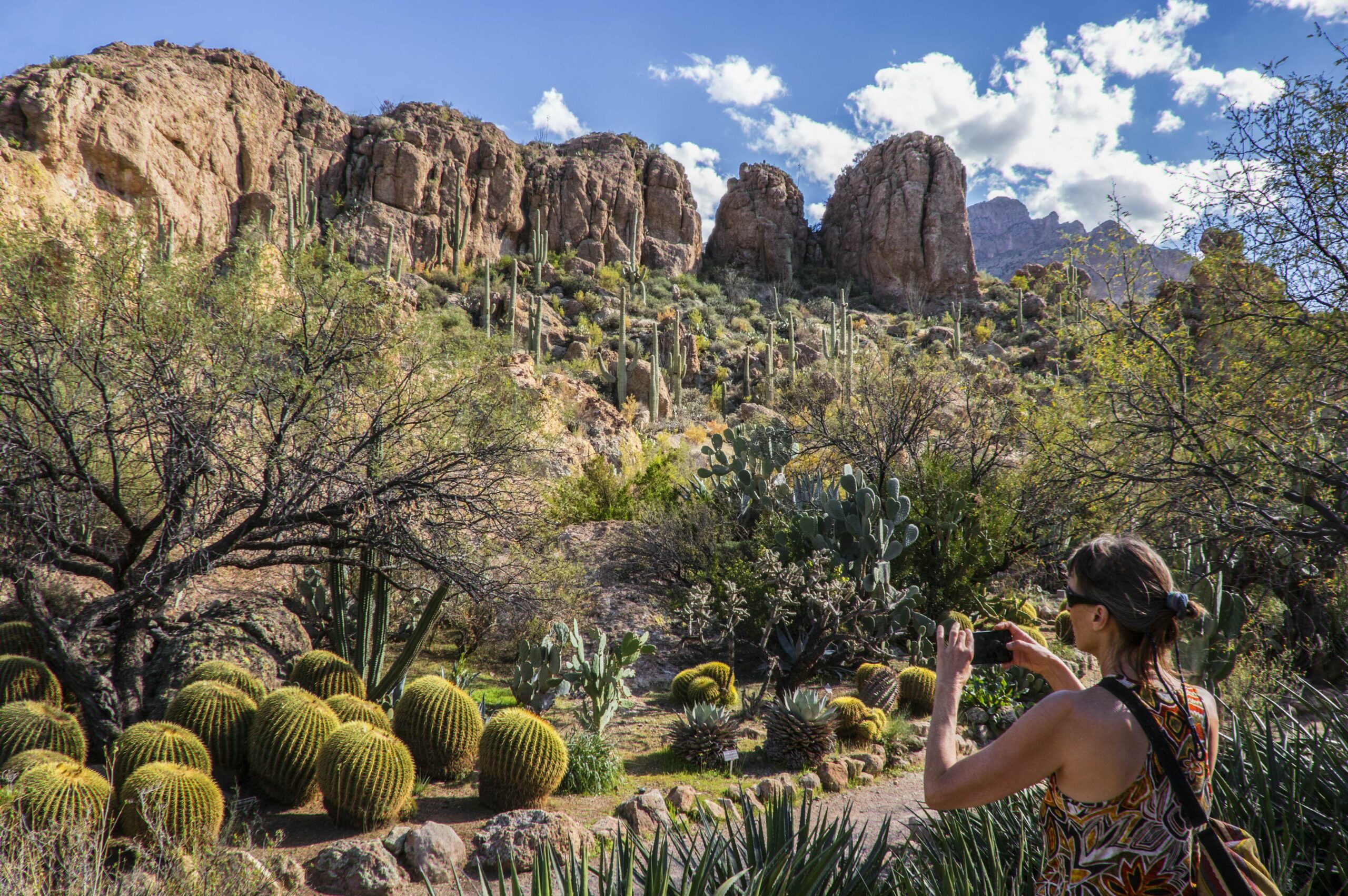 Discover Phoenix: The Ultimate Travel Guide with The Monroe Hotels