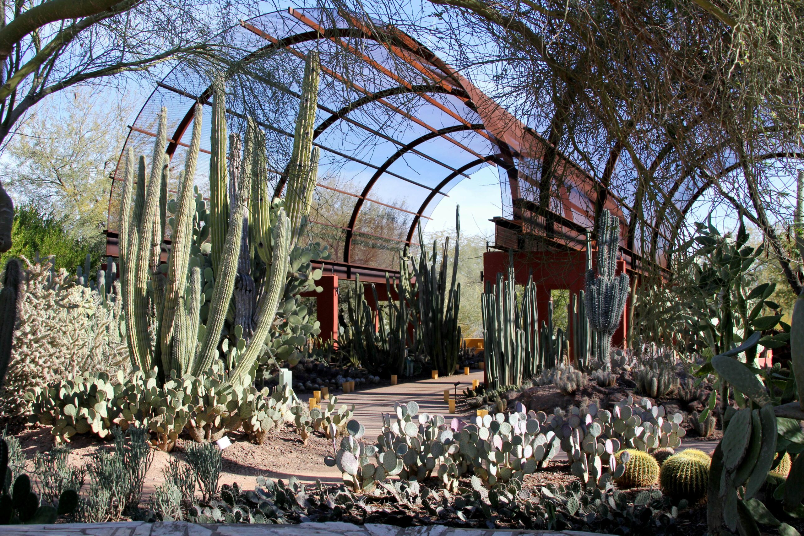 Discover Phoenix: The Ultimate Travel Guide with The Monroe Hotels