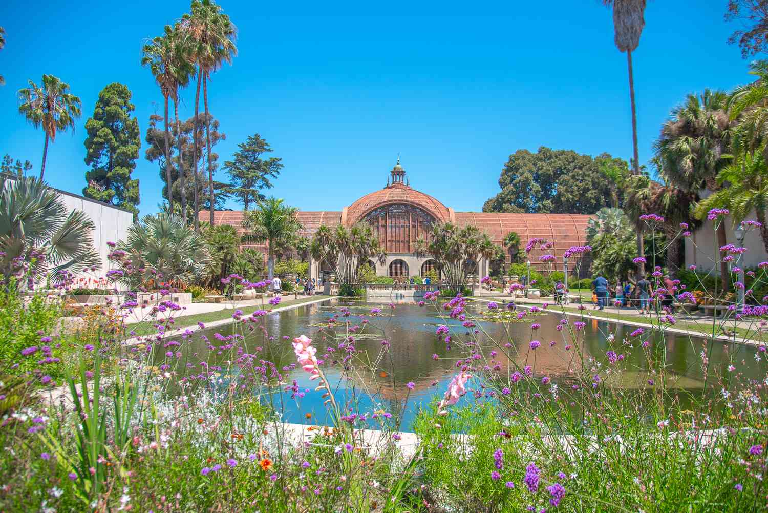 Discover the Charm of Balboa Park: A Must-Visit Destination in San Diego