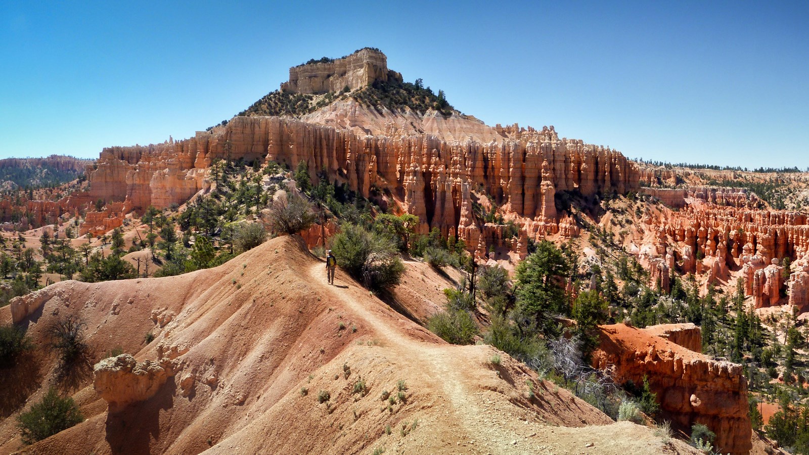 Discover the Charm of Best Western PLUS Bryce Canyon Grand Hotel: A Gateway to Bryce Canyon