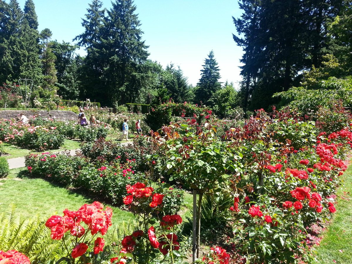 Discover the Charm of Washington Park: A Hidden Gem in Portland, Oregon