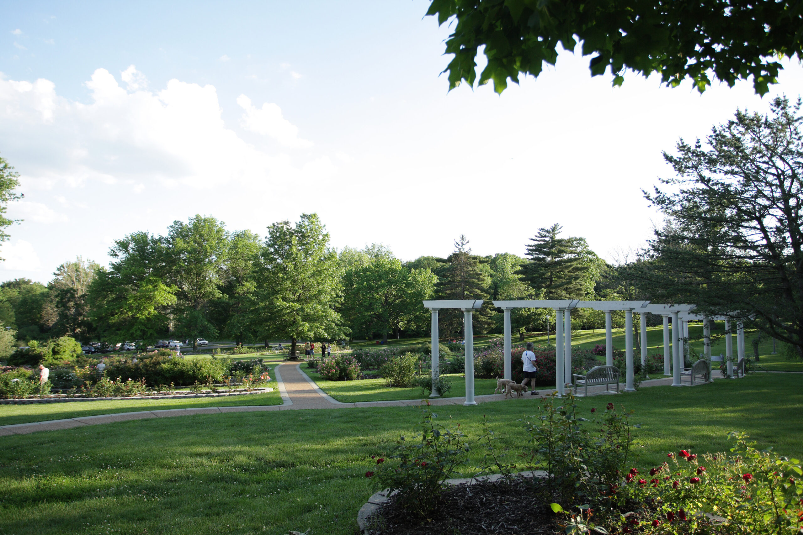 Discover the Charm of Washington Park: A Hidden Gem in Portland, Oregon