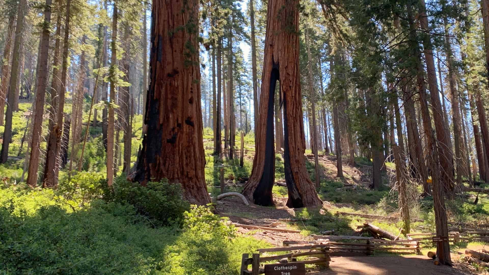 Discover the Comfort and Convenience of the Holiday Inn Express &#038; Suites Yosemite Park Area by IHG