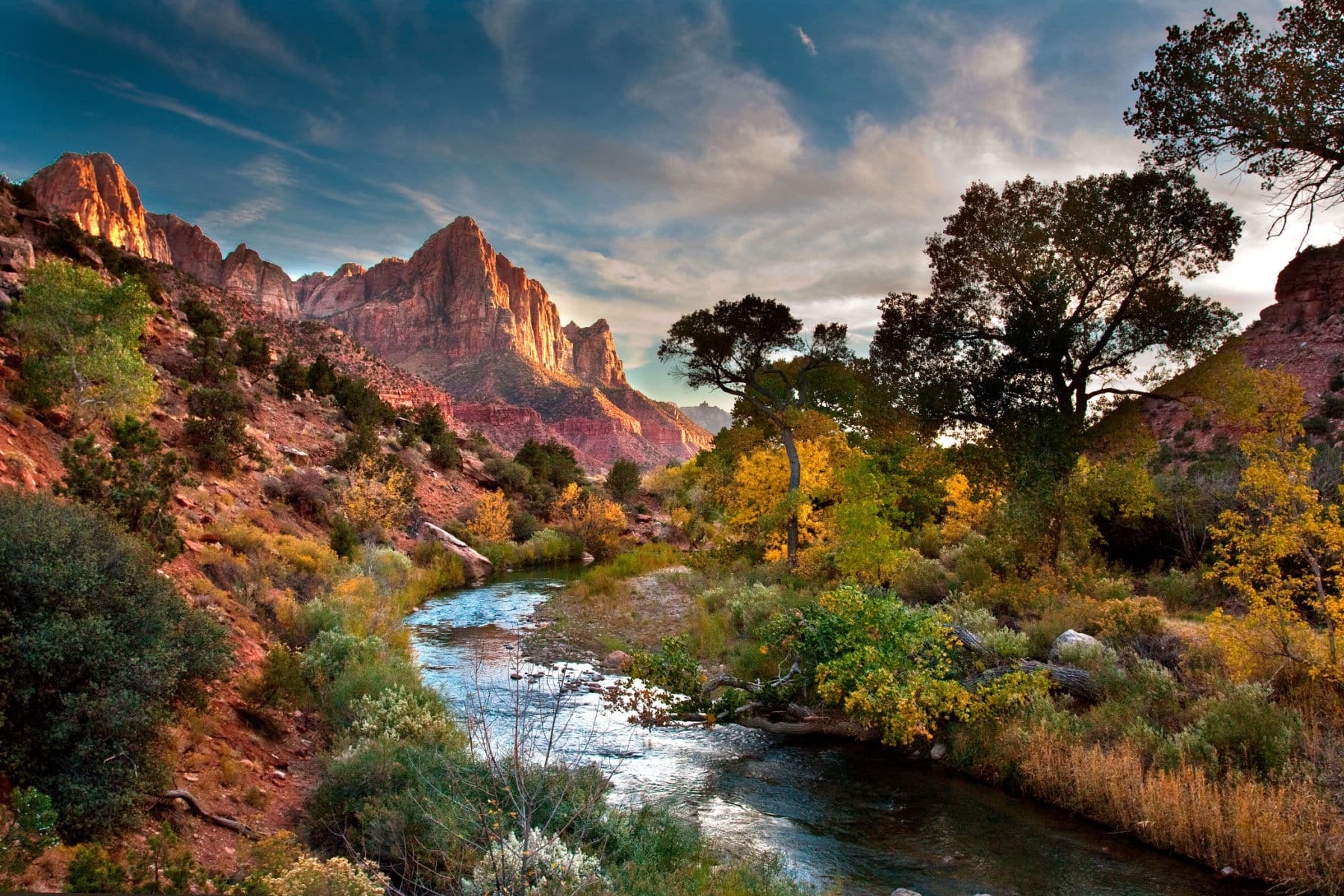 Discover the Epic Beauty of Zion National Park: Ultimate Adventure Guide