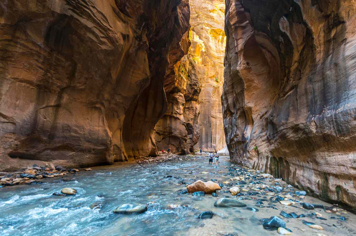 Discover the Epic Beauty of Zion National Park: Ultimate Adventure Guide