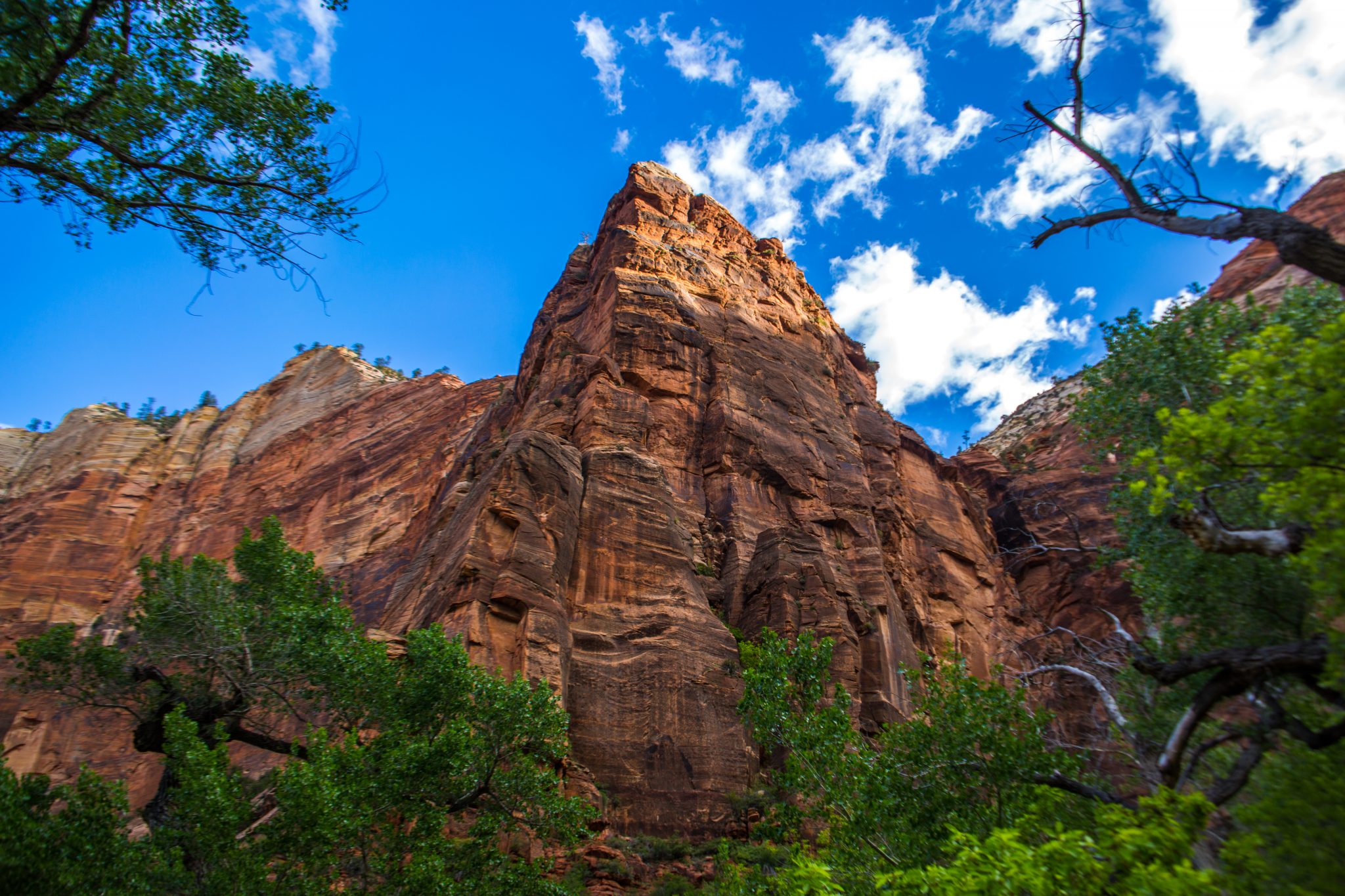 Discover the Epic Beauty of Zion National Park: Ultimate Adventure Guide