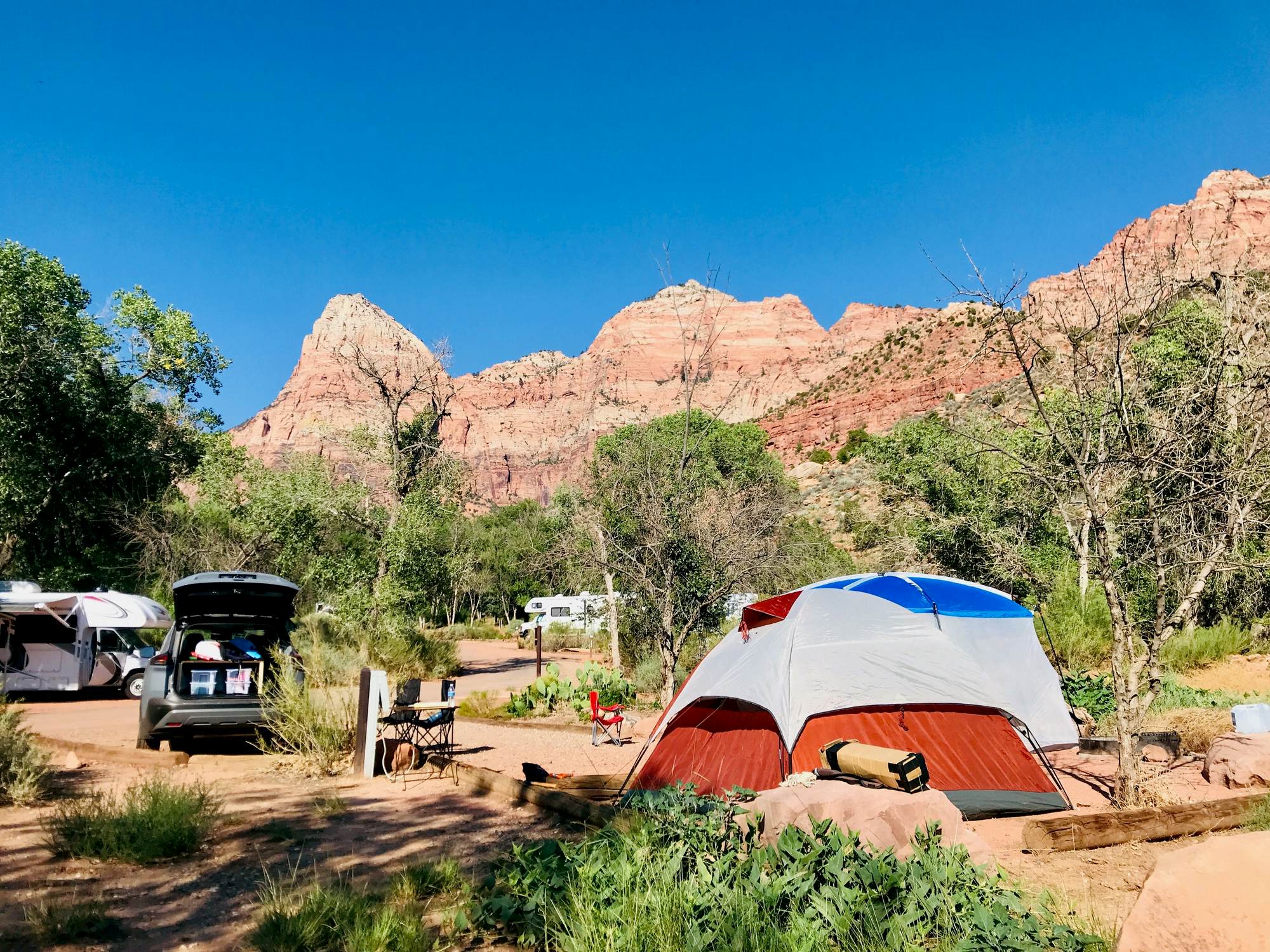 Discover the Epic Beauty of Zion National Park: Ultimate Adventure Guide