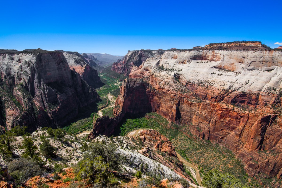 Discover the Epic Beauty of Zion National Park: Ultimate Adventure Guide