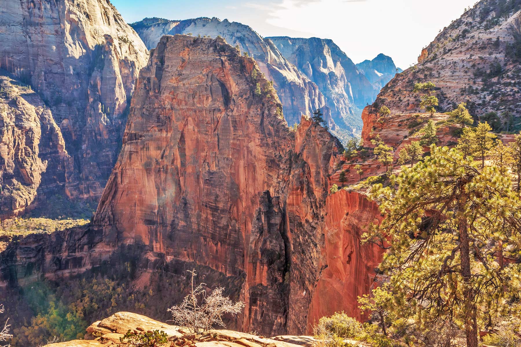 Discover the Epic Beauty of Zion National Park: Ultimate Adventure Guide