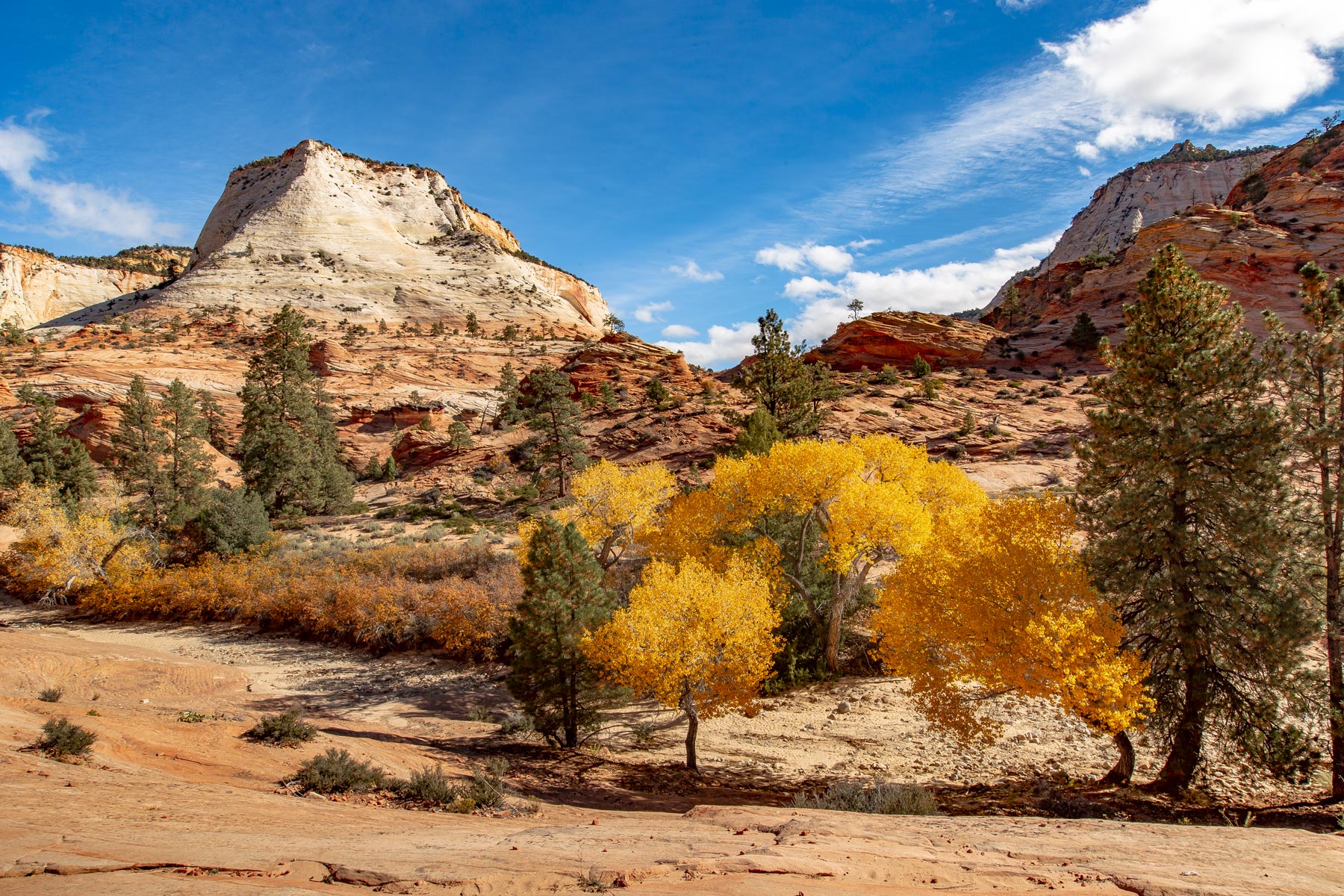 Discover the Epic Beauty of Zion National Park: Ultimate Adventure Guide