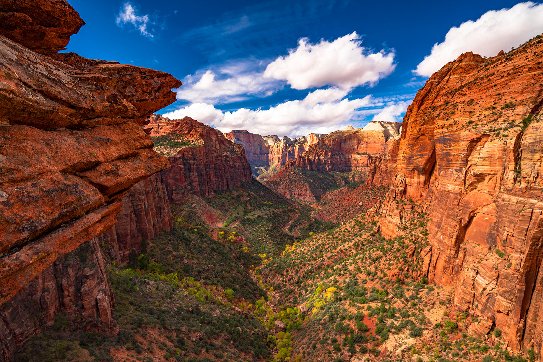 Discover the Epic Beauty of Zion National Park: Ultimate Adventure Guide