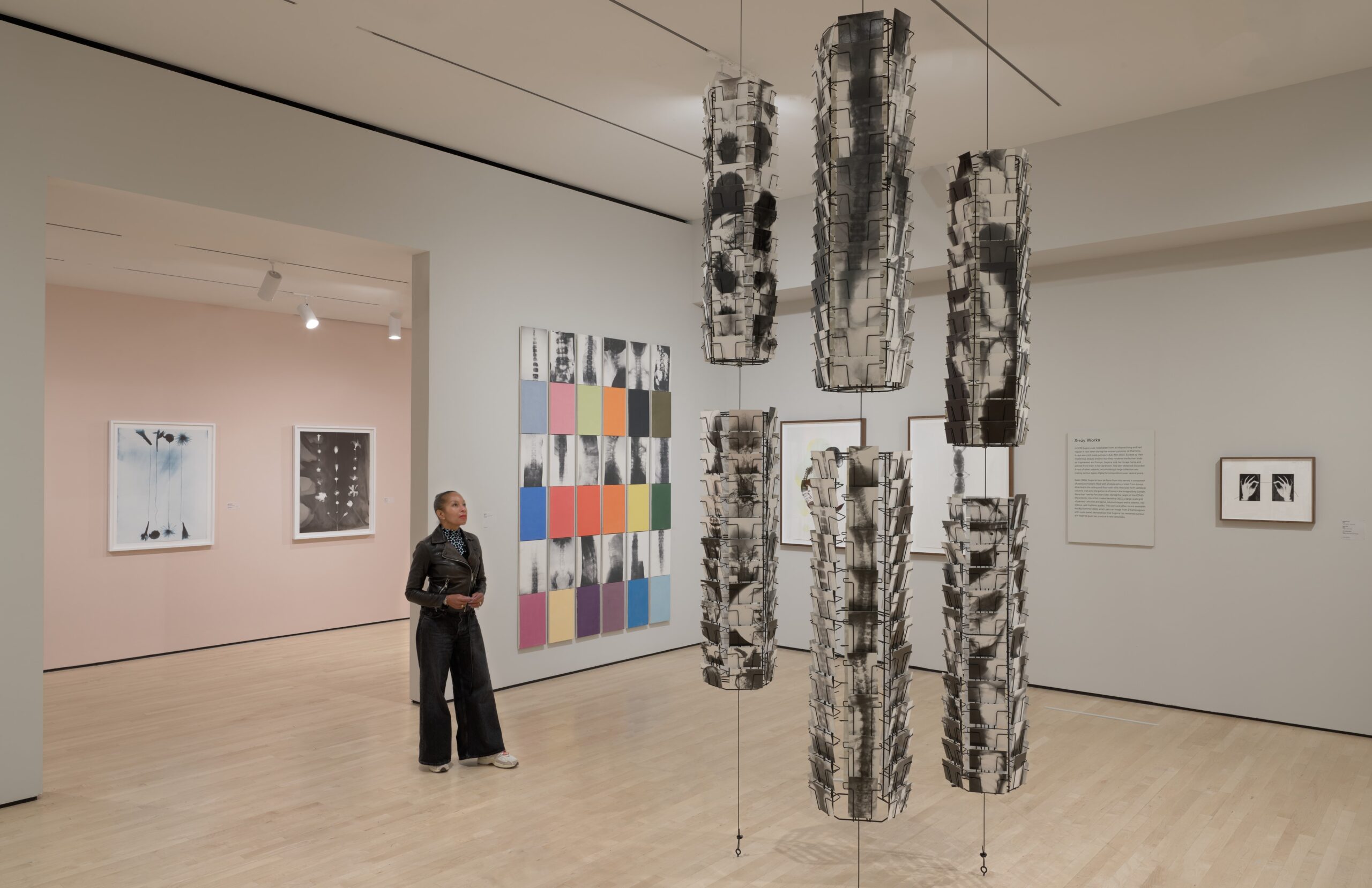 Discover the Museum of Modern Art: A Journey Through Art and Innovation
