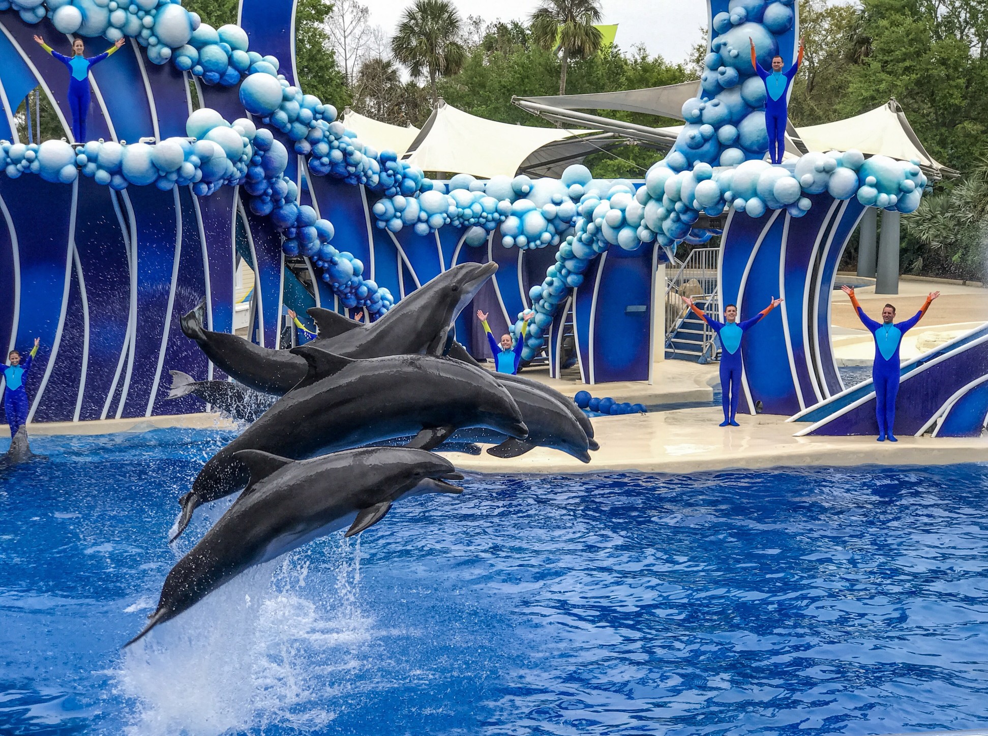 Discover the Thrills and Magic of SeaWorld Orlando: An Ultimate Guide for Adventure Seekers