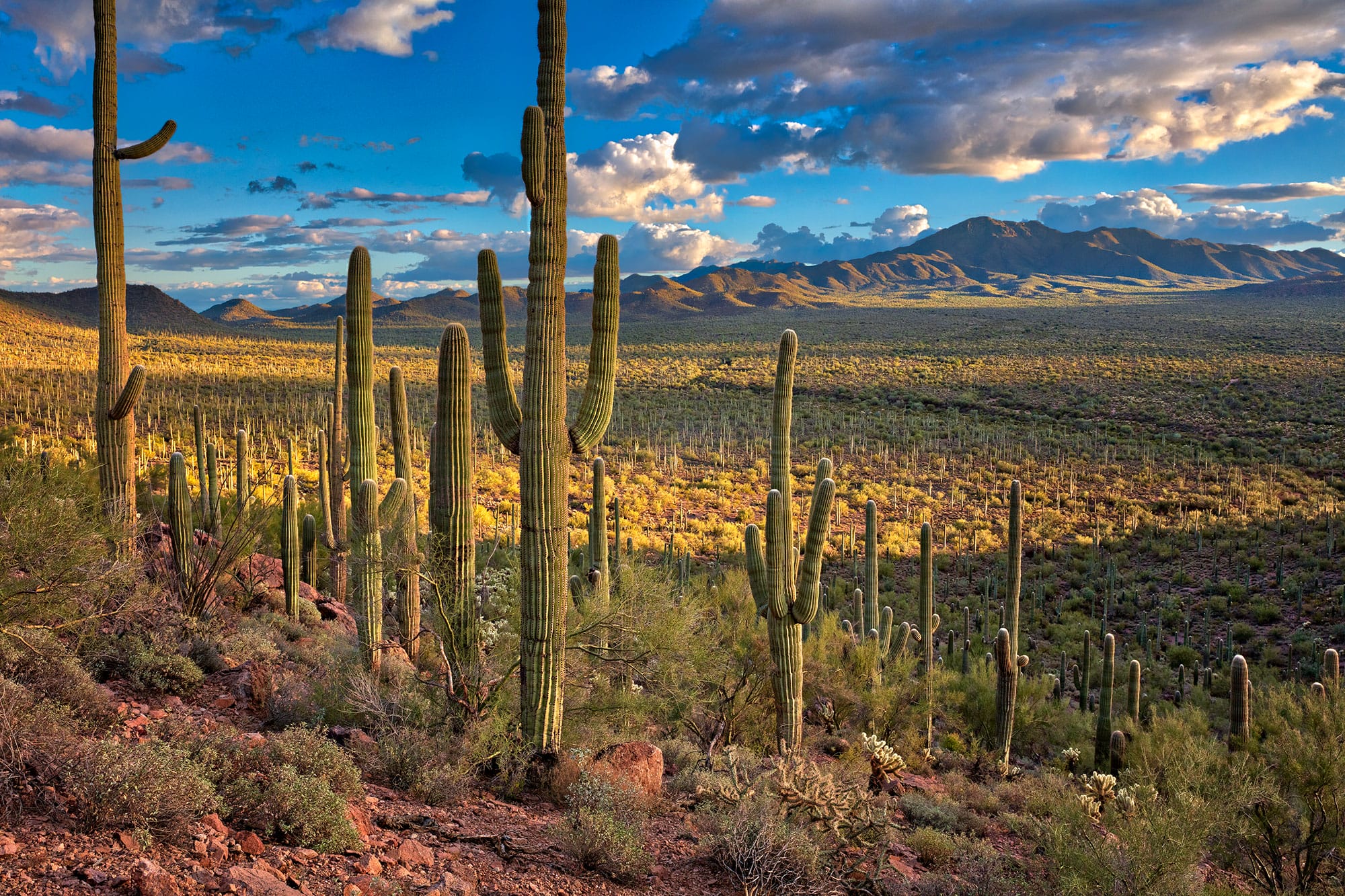 Discover the Ultimate Stay at Aloft Tucson University: The Perfect Blend of Comfort and Convenience