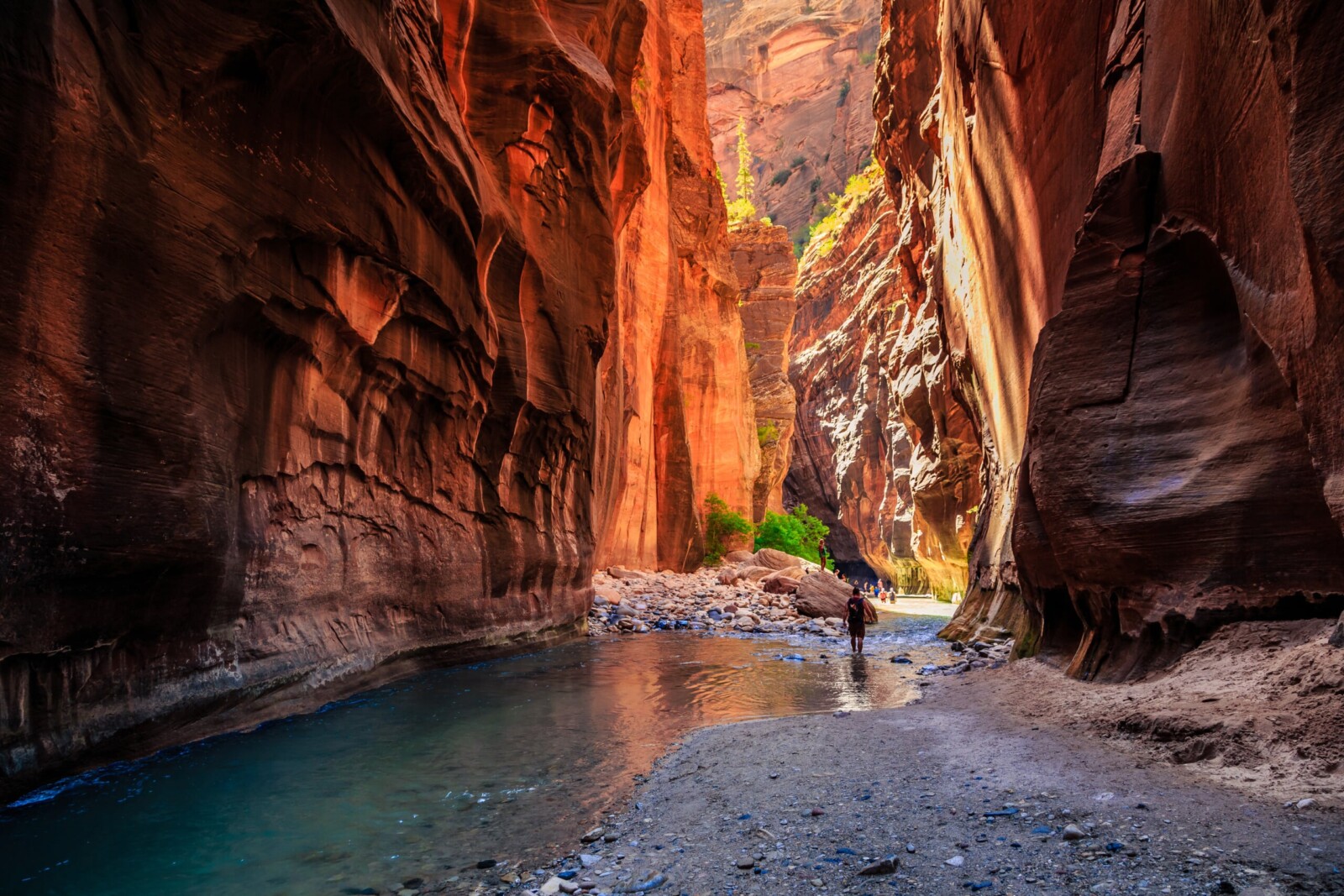 Discover the Ultimate Zion Glamping Adventures: A Dream Stay with The Monroe Hotels