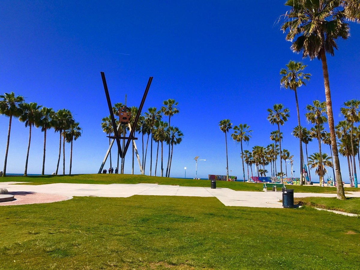 Discover the Vibes of Venice Beach Like Never Before