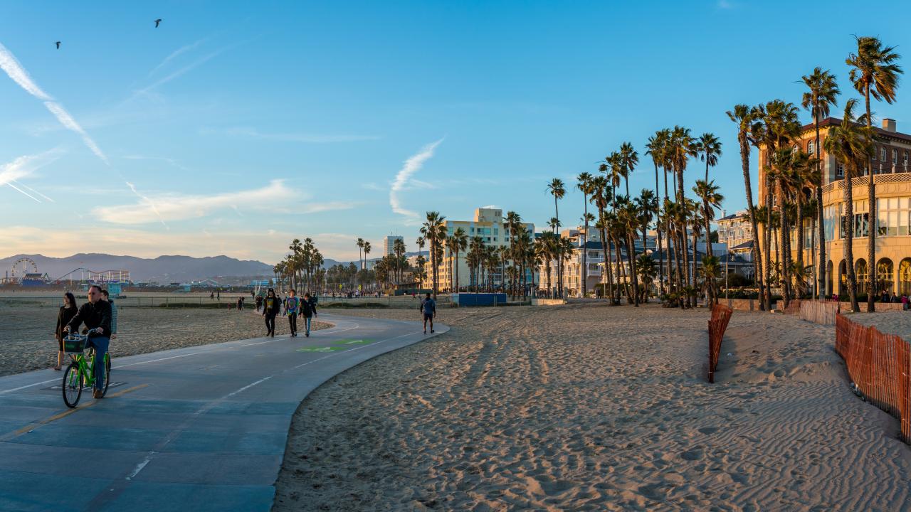 Discover the Vibes of Venice Beach Like Never Before