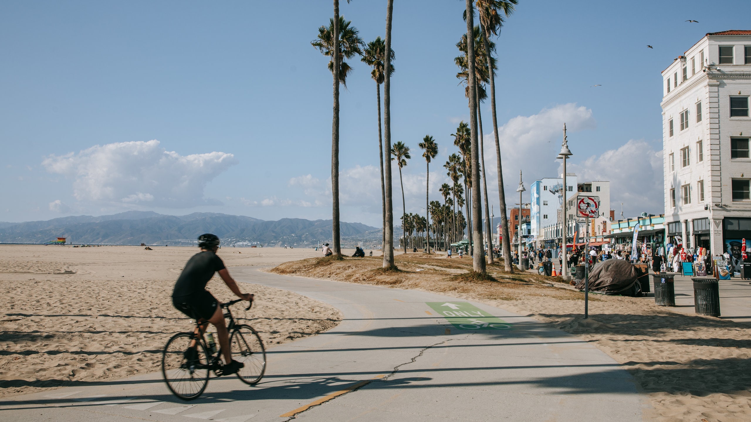 Discover the Vibes of Venice Beach Like Never Before